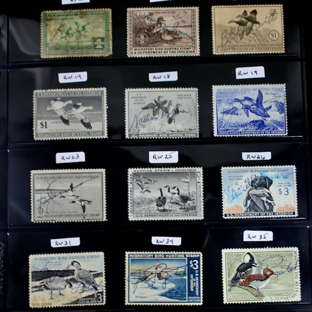 Fifteen Different U.S. Duck Stamps, RW4 to RW38
