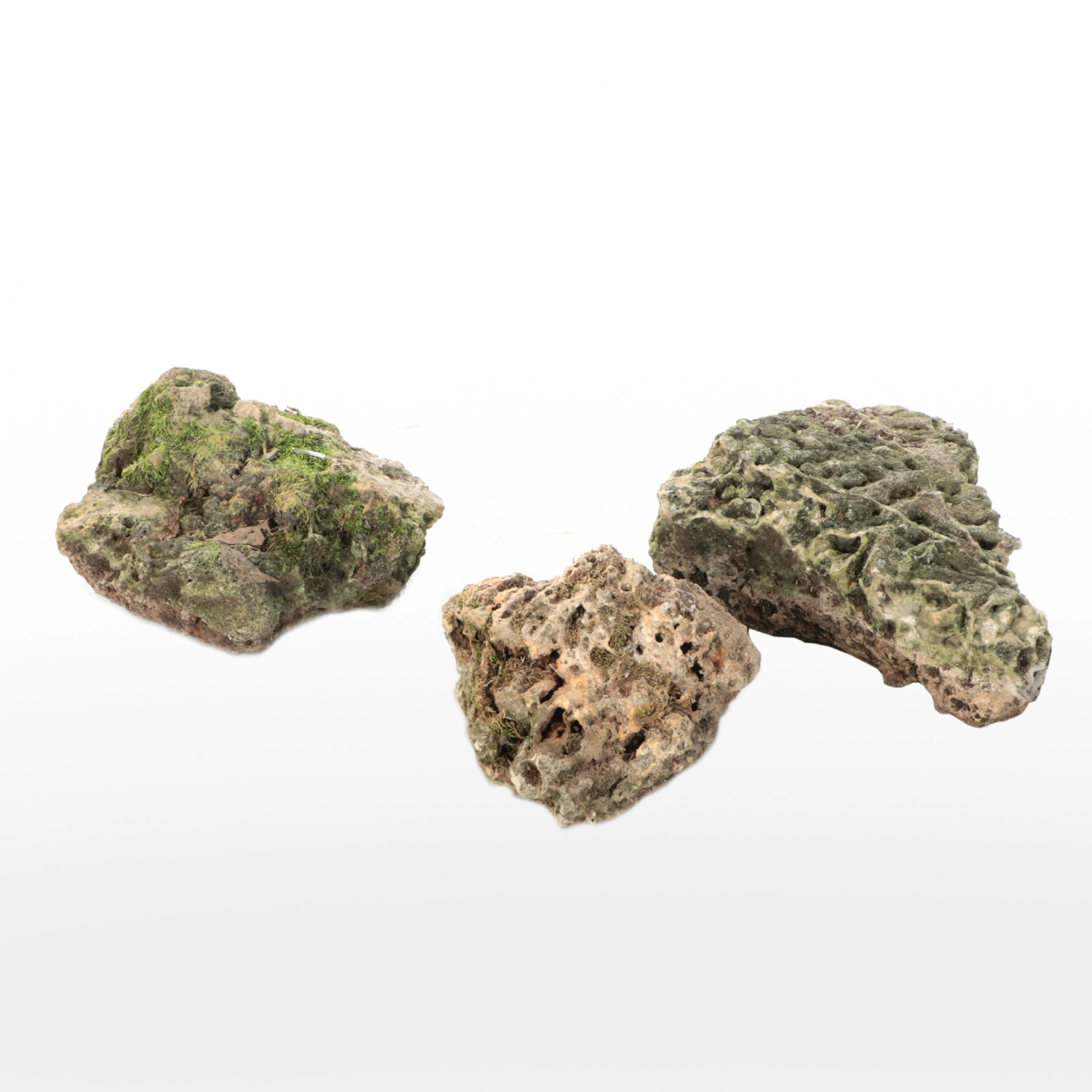 Outdoor Mossy Rocks