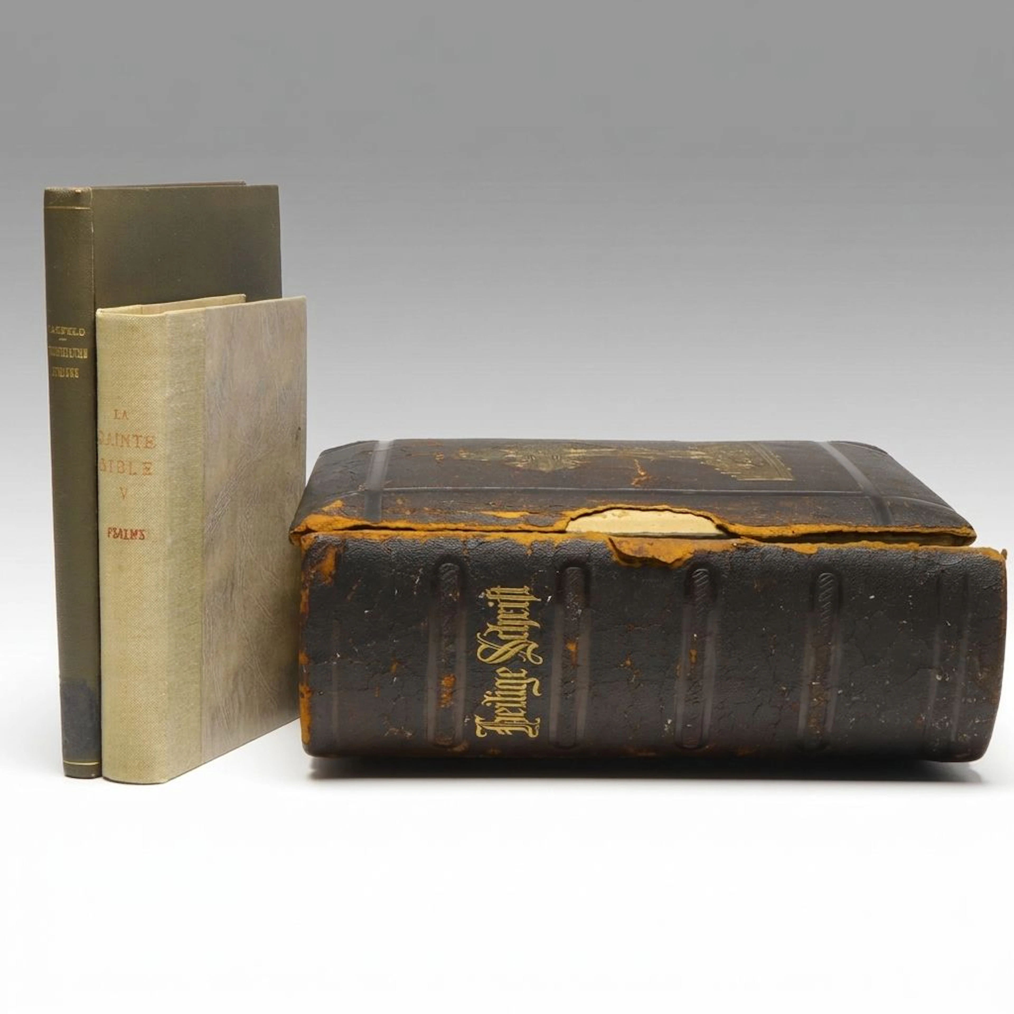 Leather Bound Illustrated German Language Bible with More Religious Texts