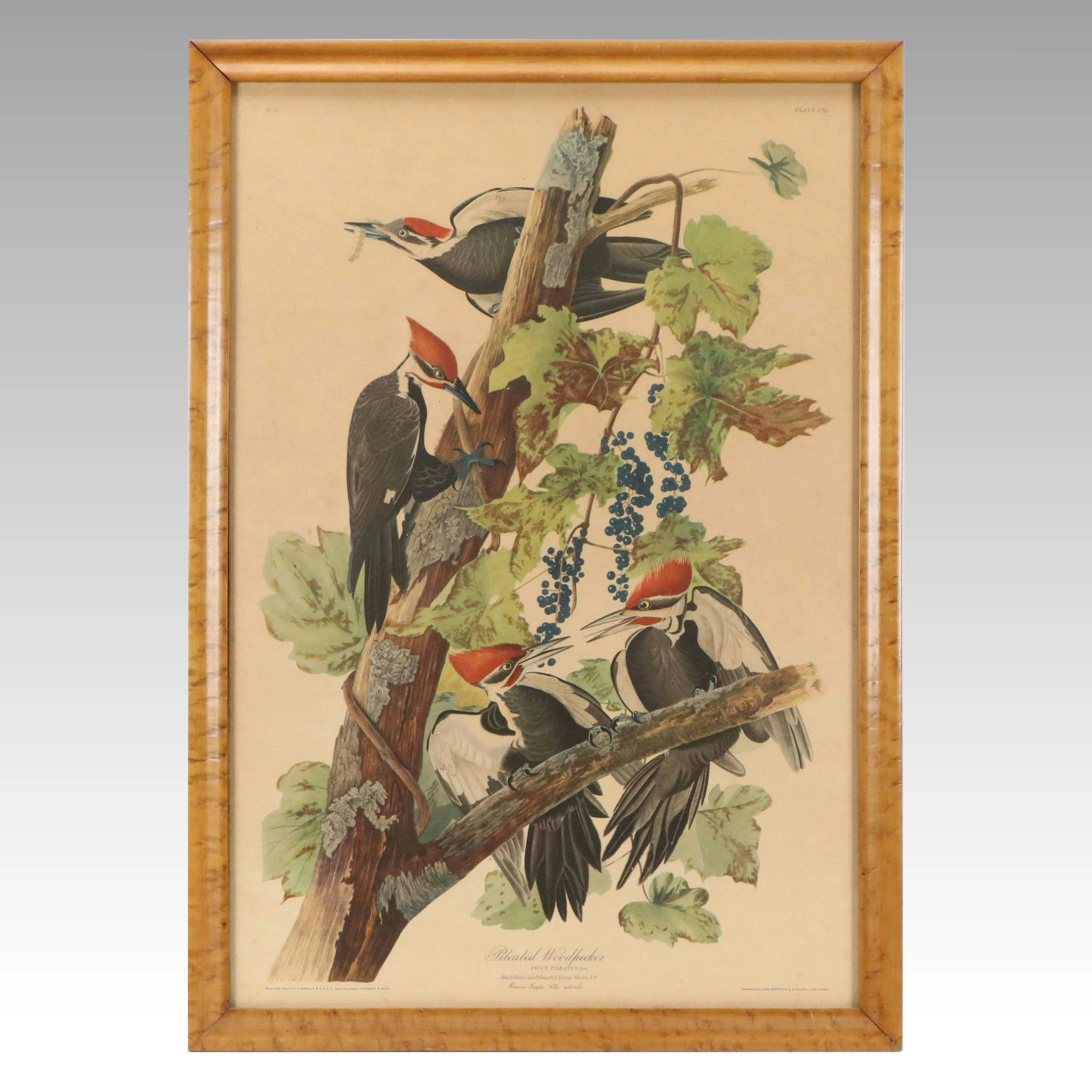 After J. J. Audubon Northwestern Mutual Offset Lithograph "Pileated