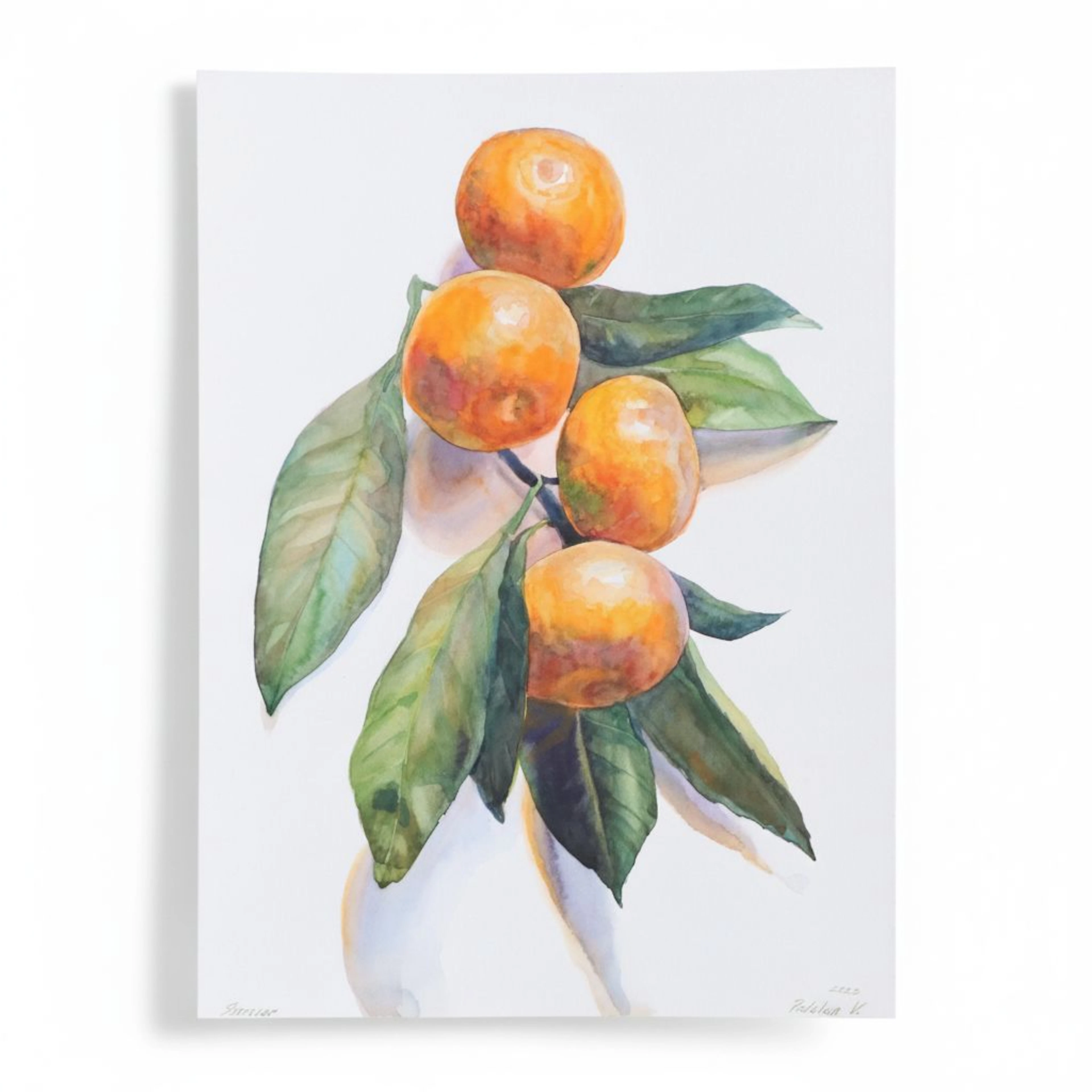 Viktoriia Podolian Samovar Gallery Still Life Watercolor Painting of Oranges