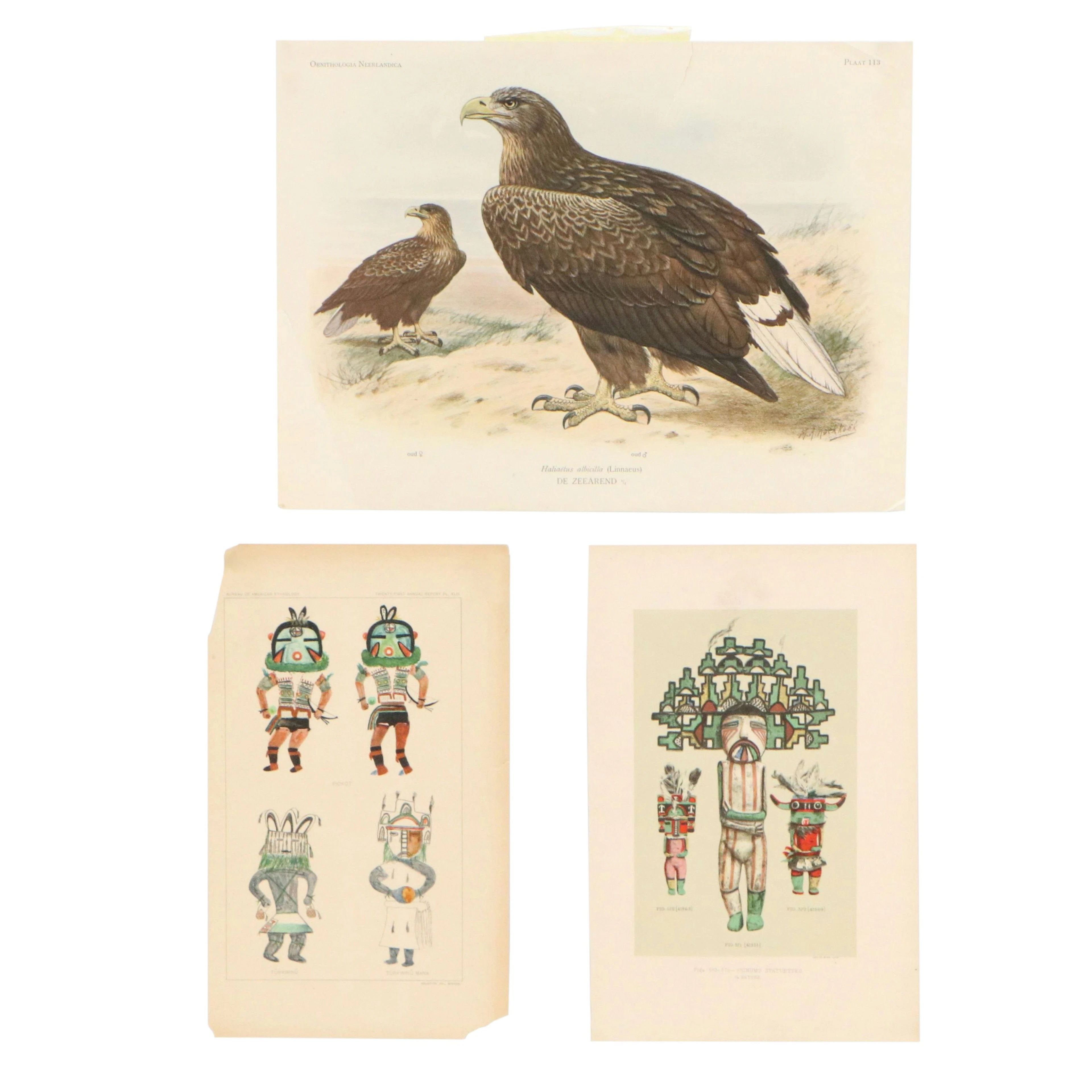 Chromolithographs from Bureau of American Ethnology Annual Reports