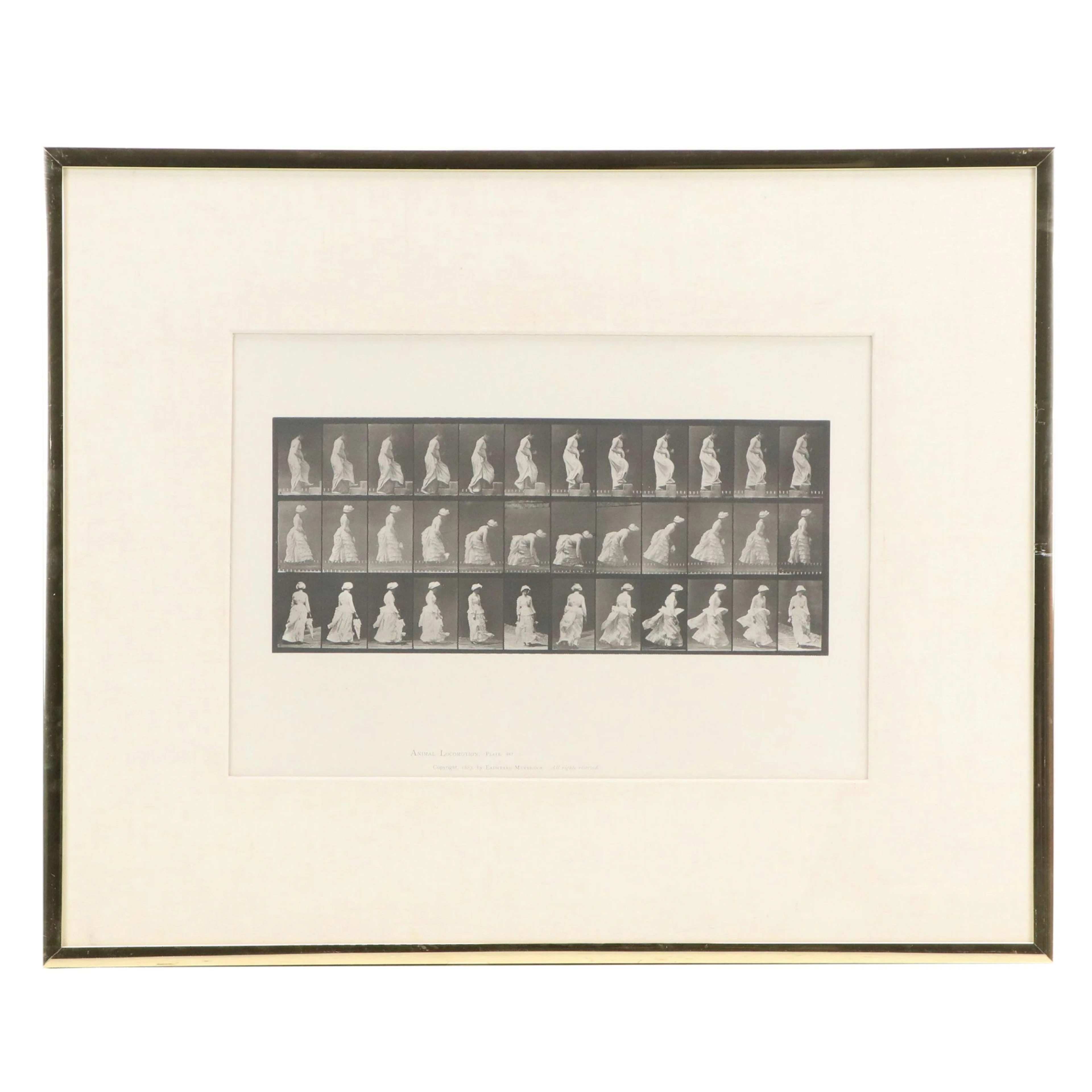 Eadweard Muybridge Collotype Plate 487 from "Animal Locomotion" 1887