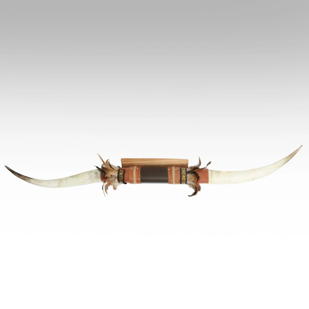 Pair of Longhorn Horns with Leather and Feather Plaque Mount