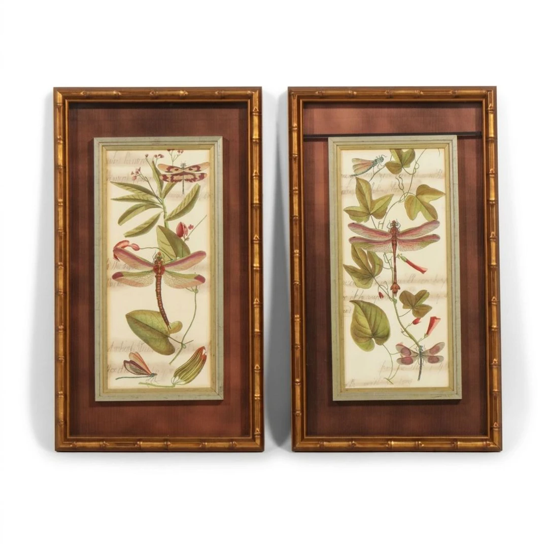 John-Richard Entomological Reproduction Prints "Dragonfly Gathering I & II"