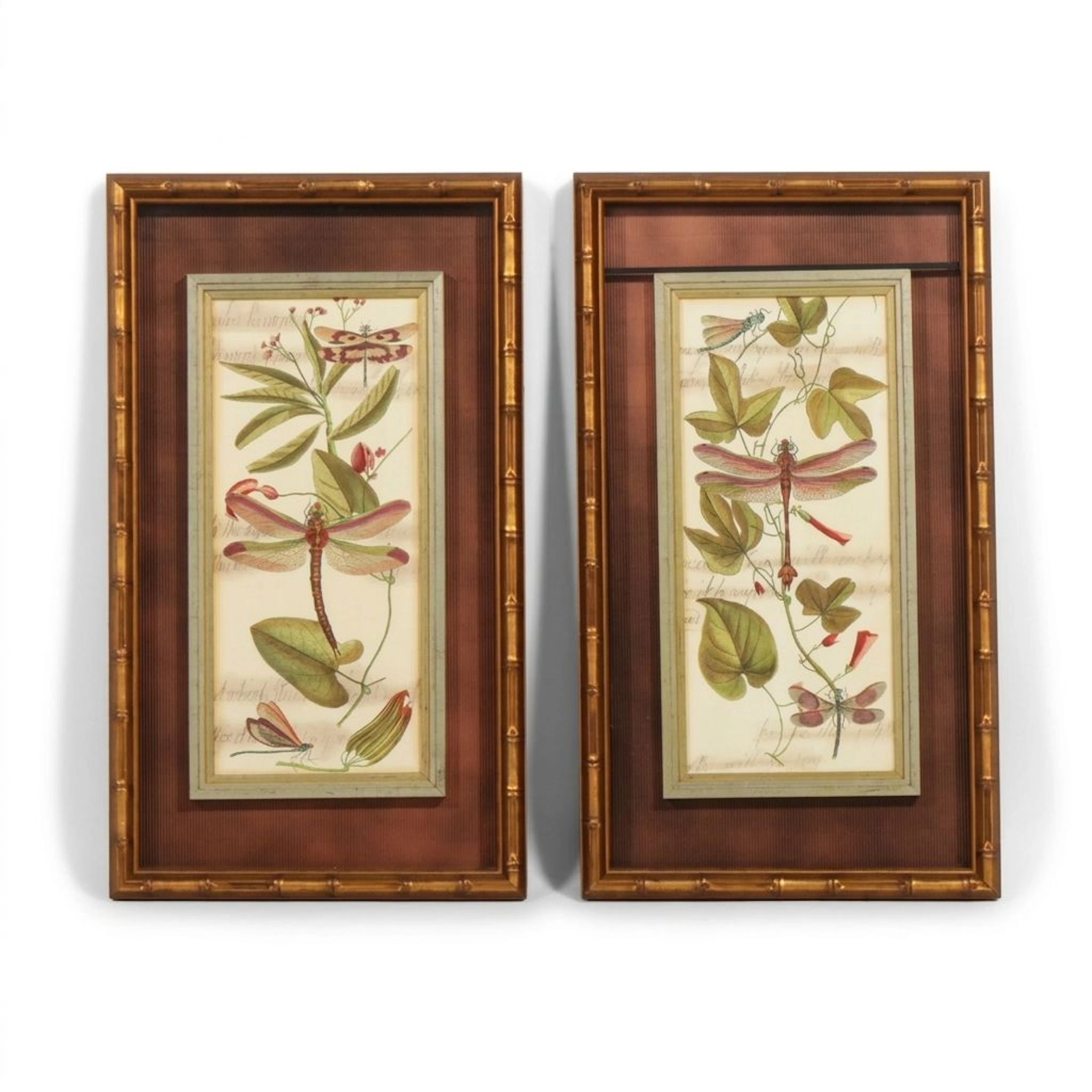 John-Richard Entomological Reproduction Prints "Dragonfly Gathering I & II"