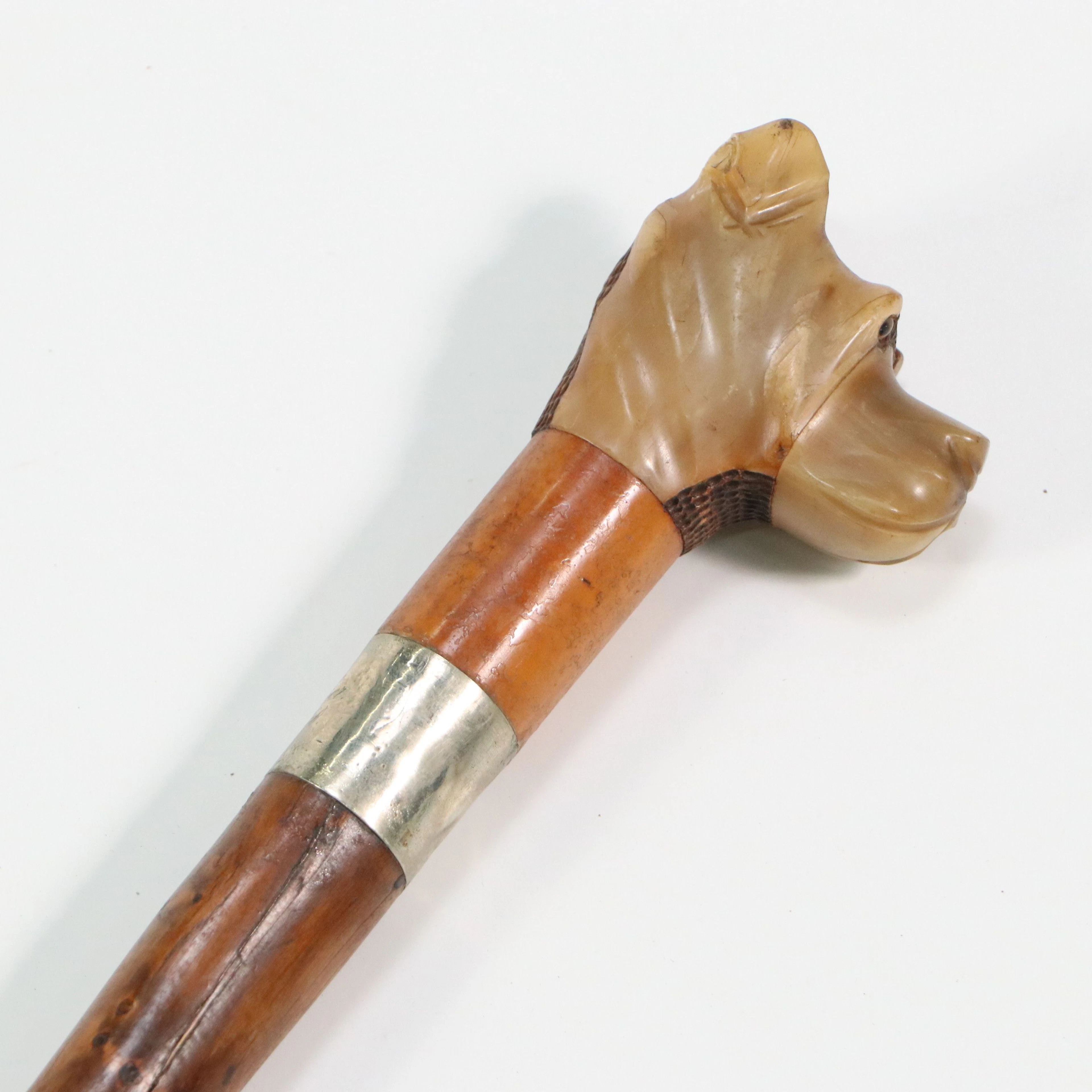 Carved Horn Dog Head and and Knotty Wood Walking Stick, Late 19th Century