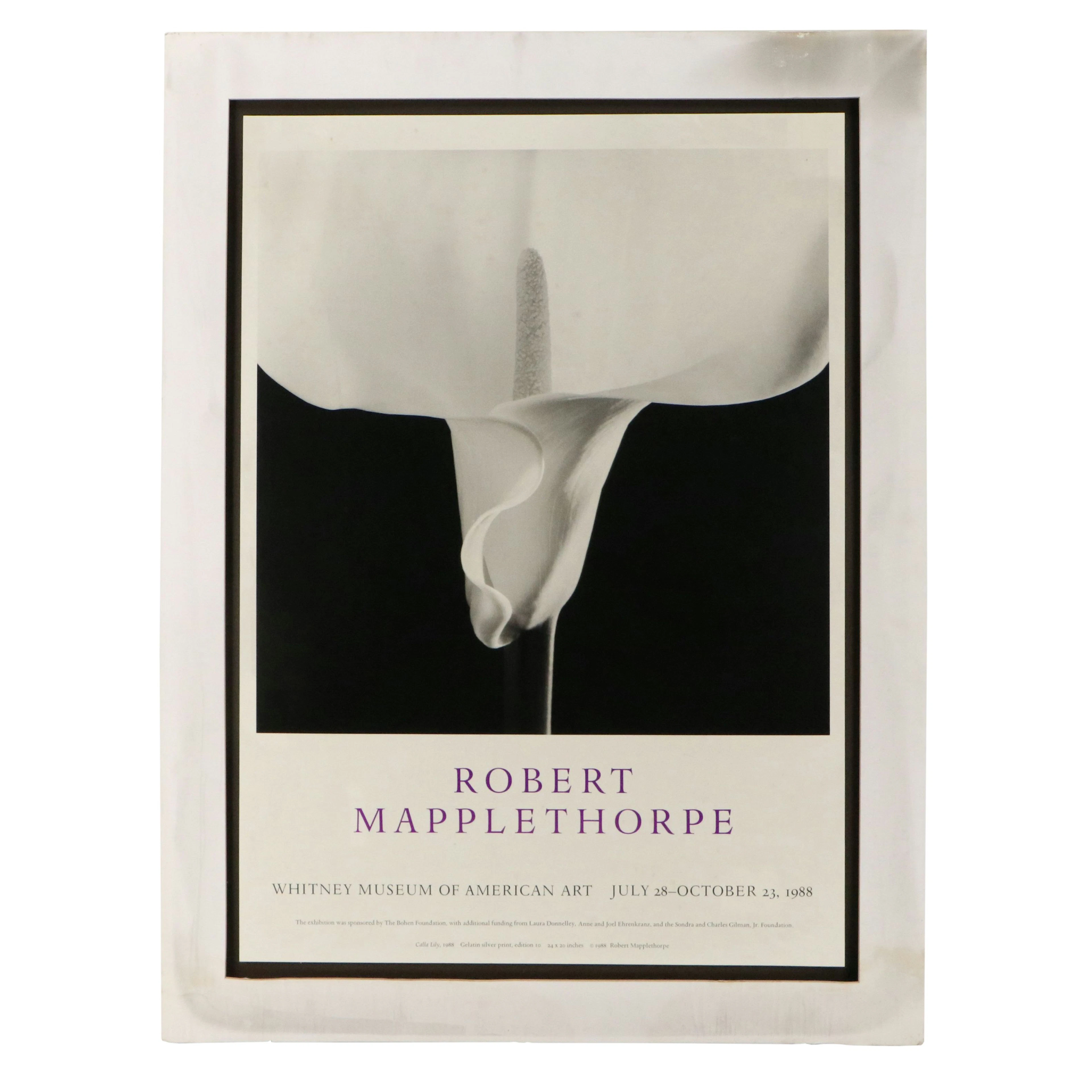 After Robert Mapplethorpe Offset Lithograph Exhibition Poster, 1988