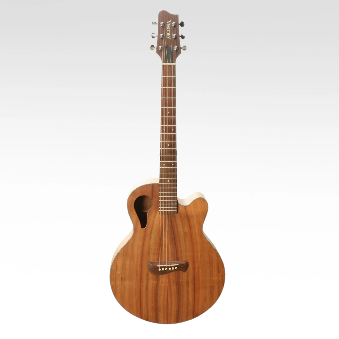 Tacoma "Artist" Chief Wing Series Acoustic Guitar with Hardside Case