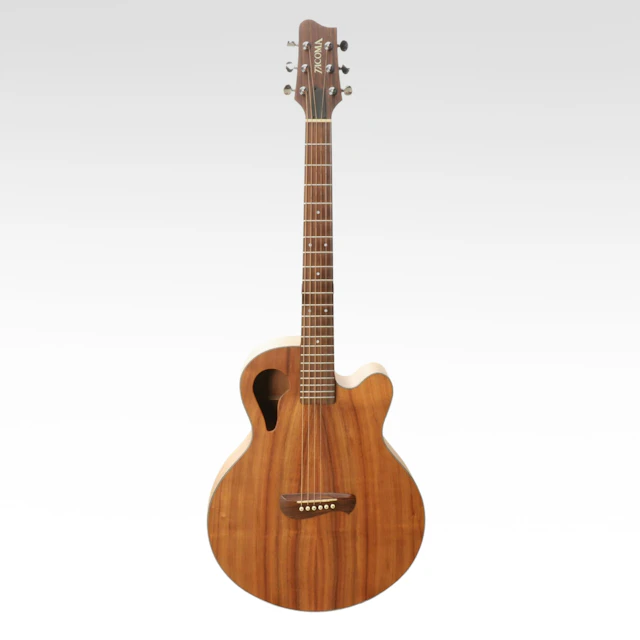 Tacoma "Artist" Chief Wing Series Acoustic Guitar with Hardside Case