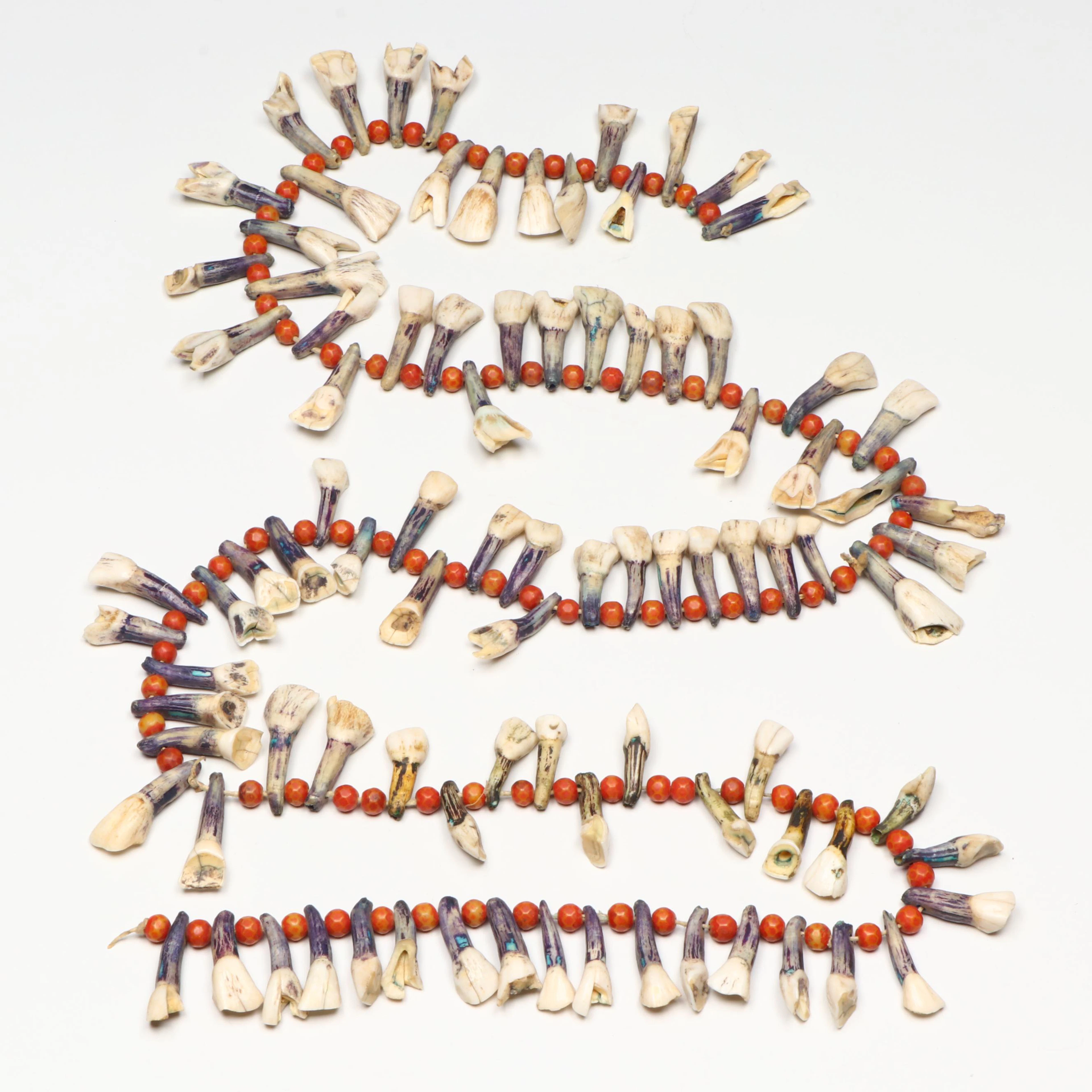 African Polychrome Fossilized Mammal Teeth and Bead Necklace