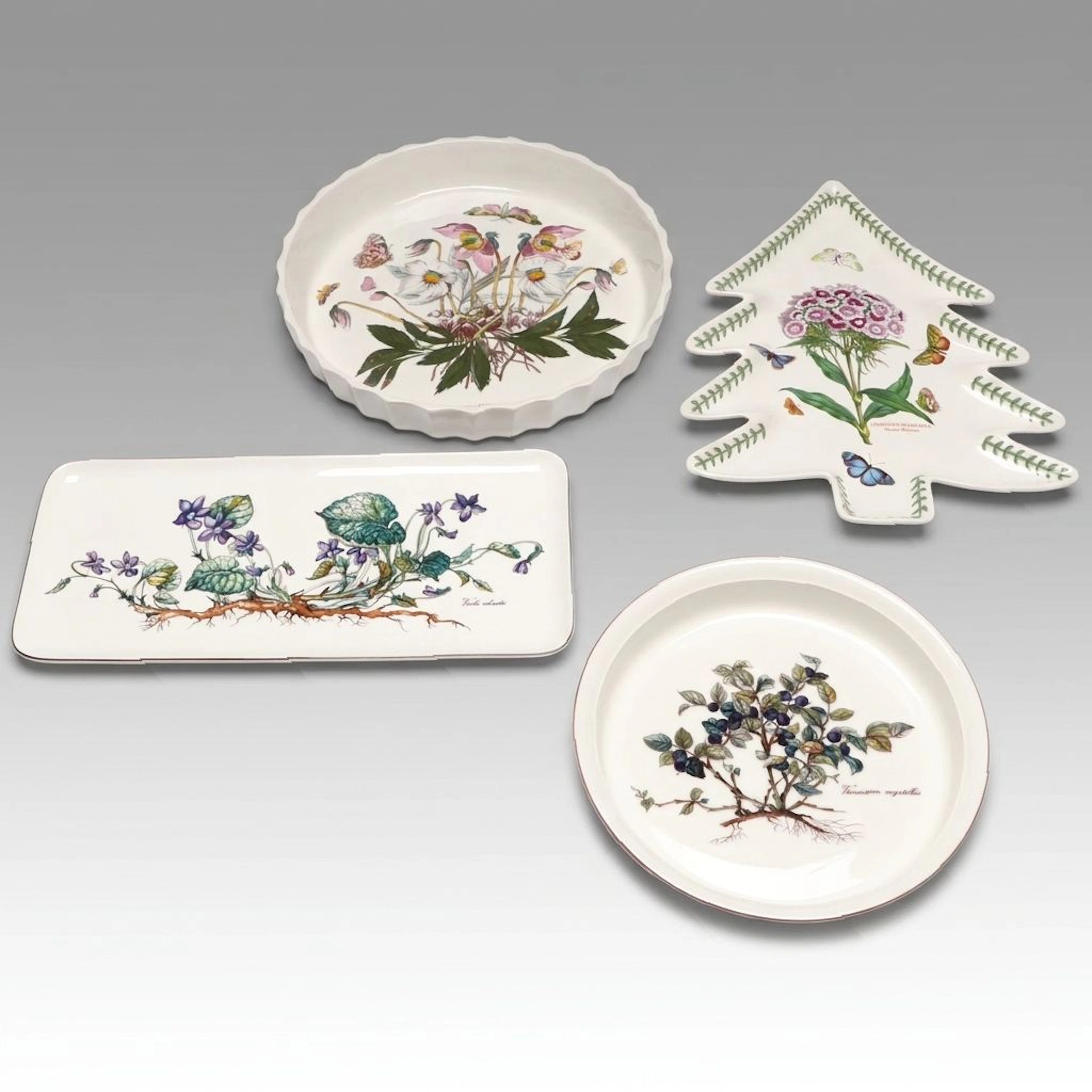 Villeroy & Boch and Portmeirion Botanical Trays and Dishes