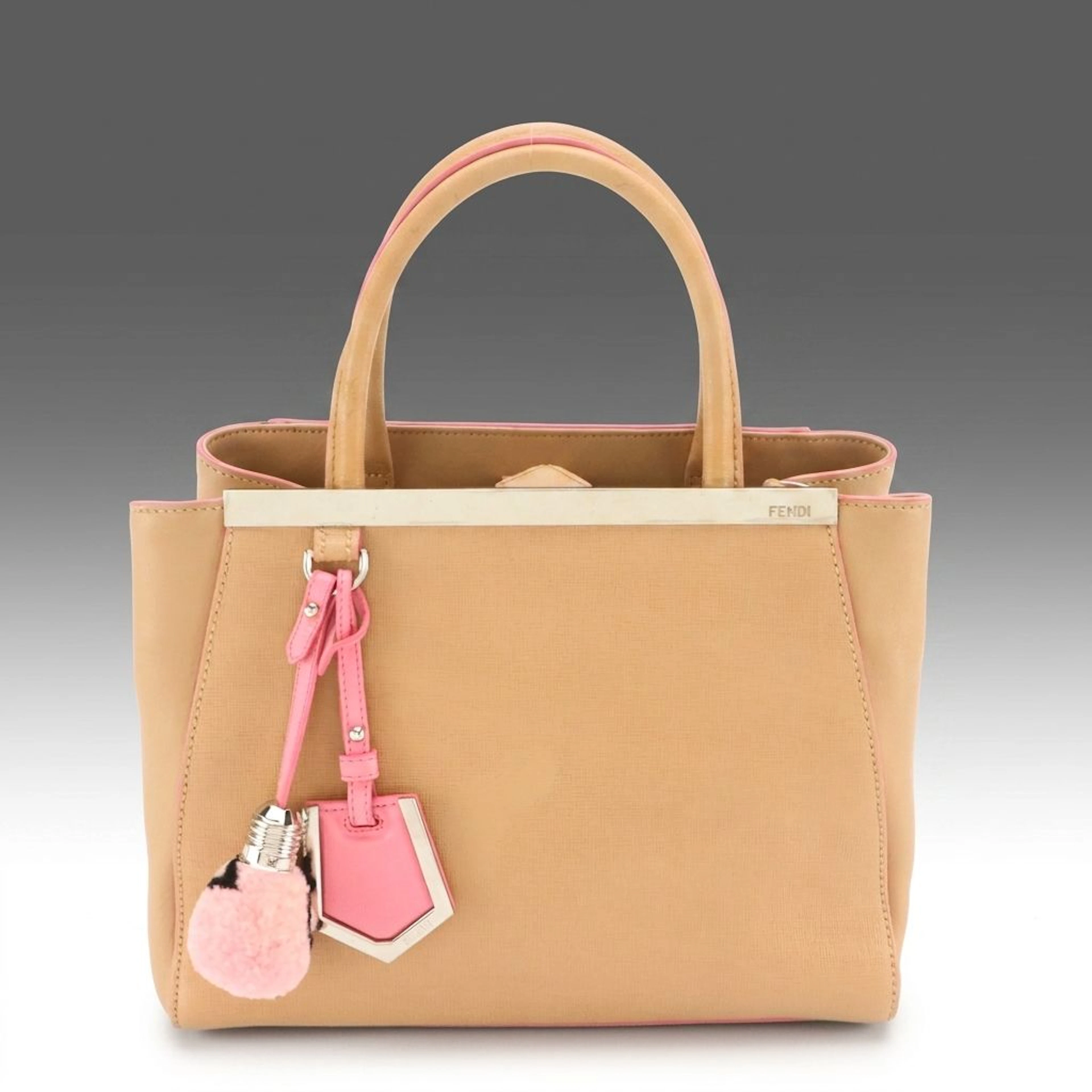 Fendi Petite Sac 2Jours Elite Two-Way Tote Bag with Saffiano and Nappa Leather