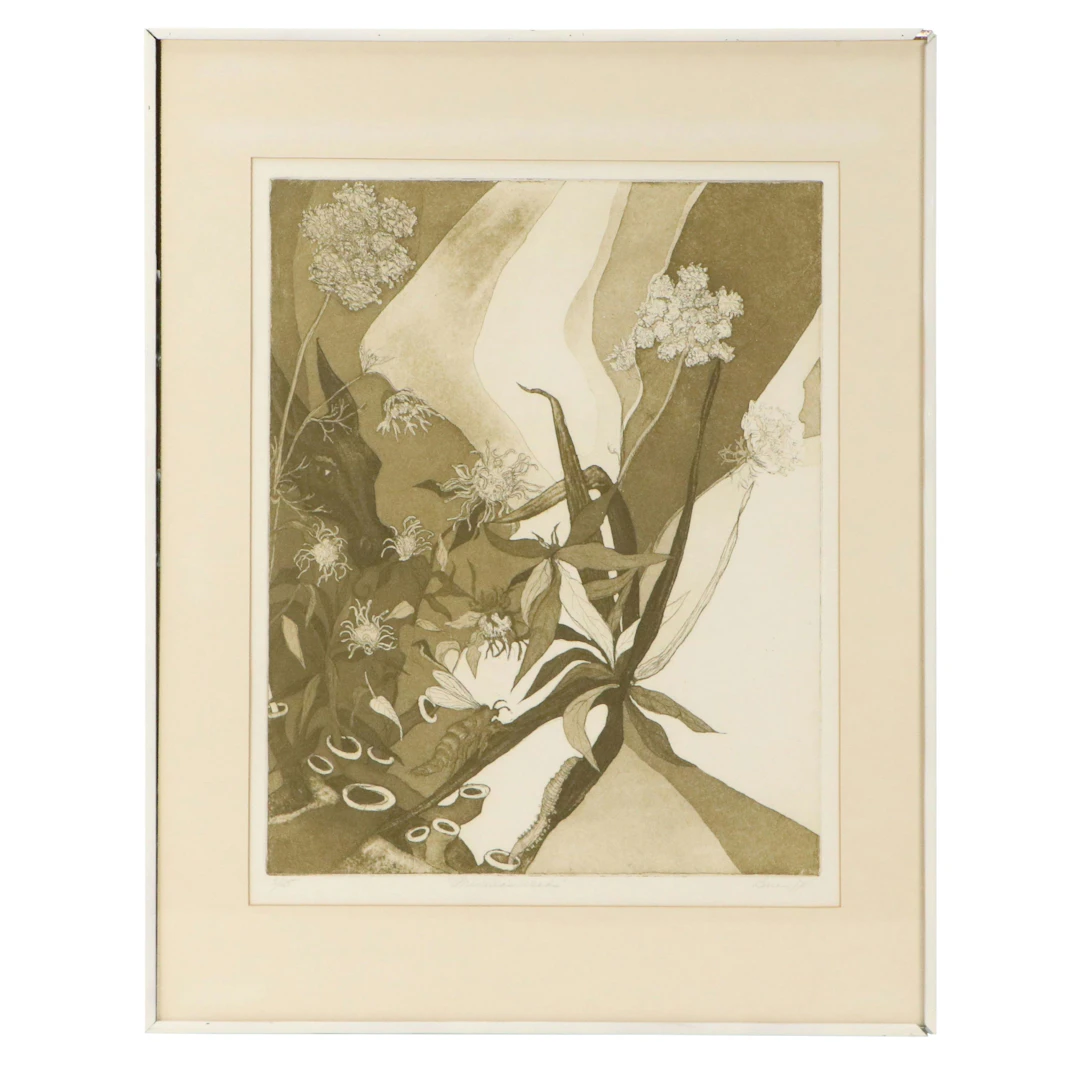 Barbara A. Brien Aquatint Etching "Priscilla's Weeds"