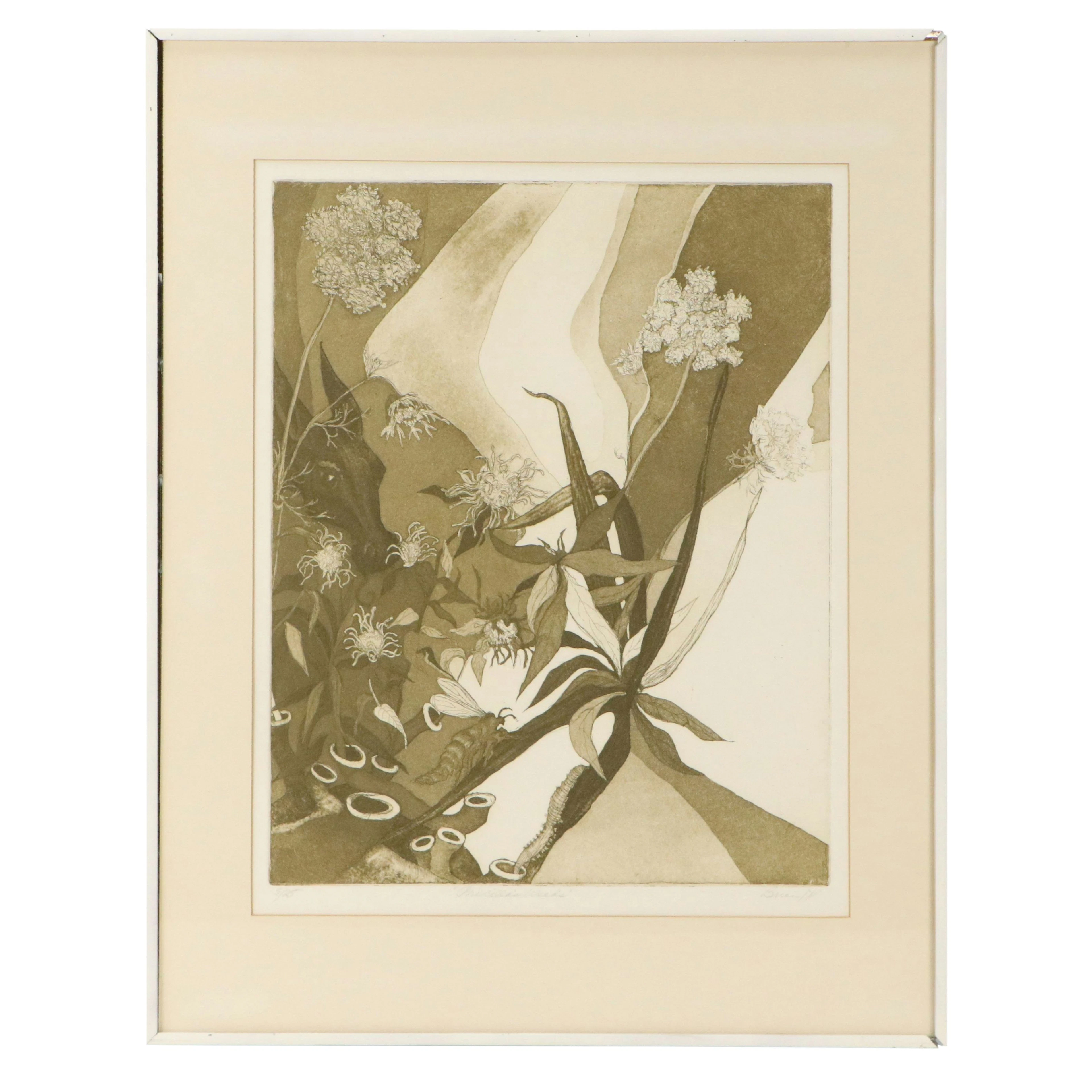 Barbara A. Brien Aquatint Etching "Priscilla's Weeds"