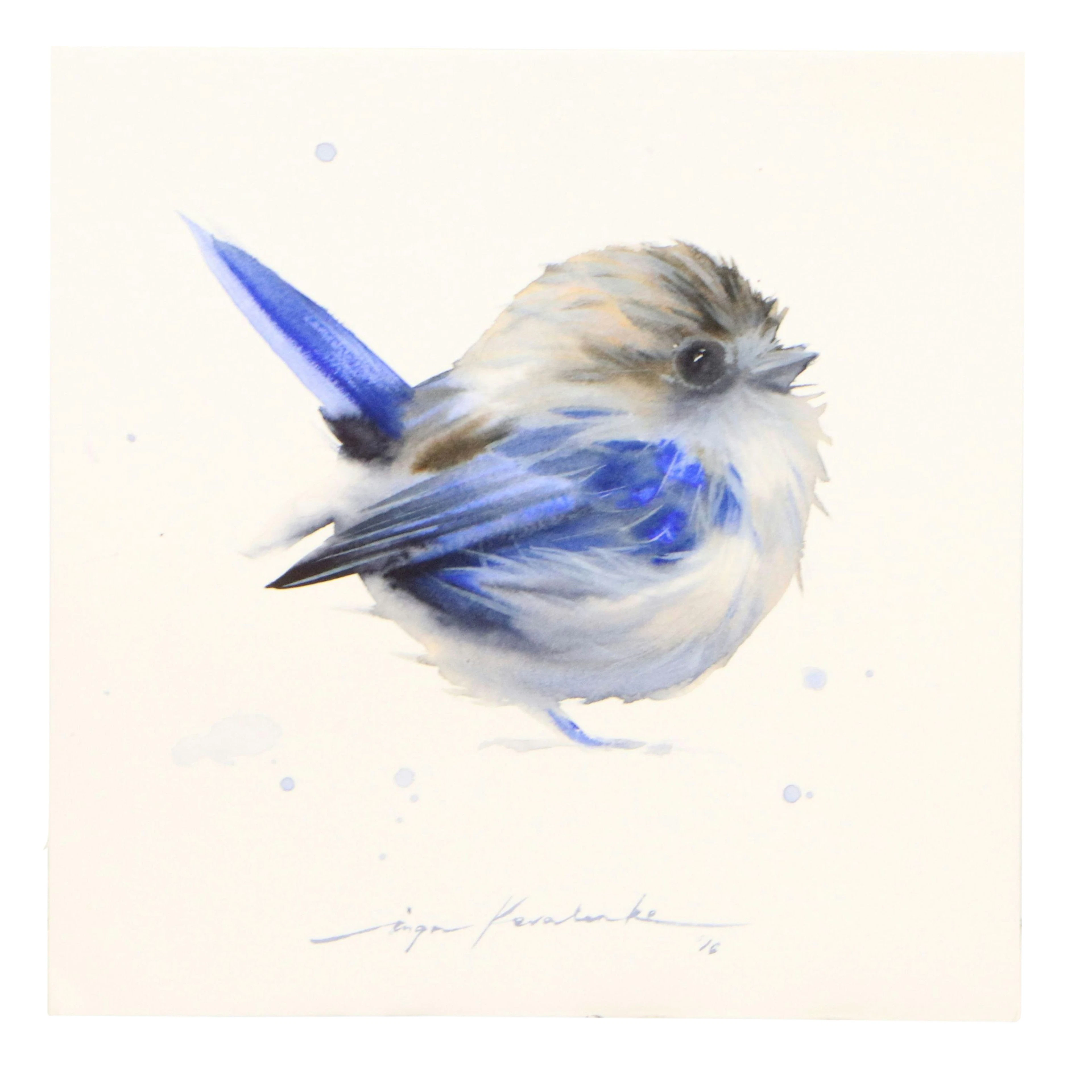 Inga Kovalenko Watercolor Painting of Fluffy Blue Bird, 2026
