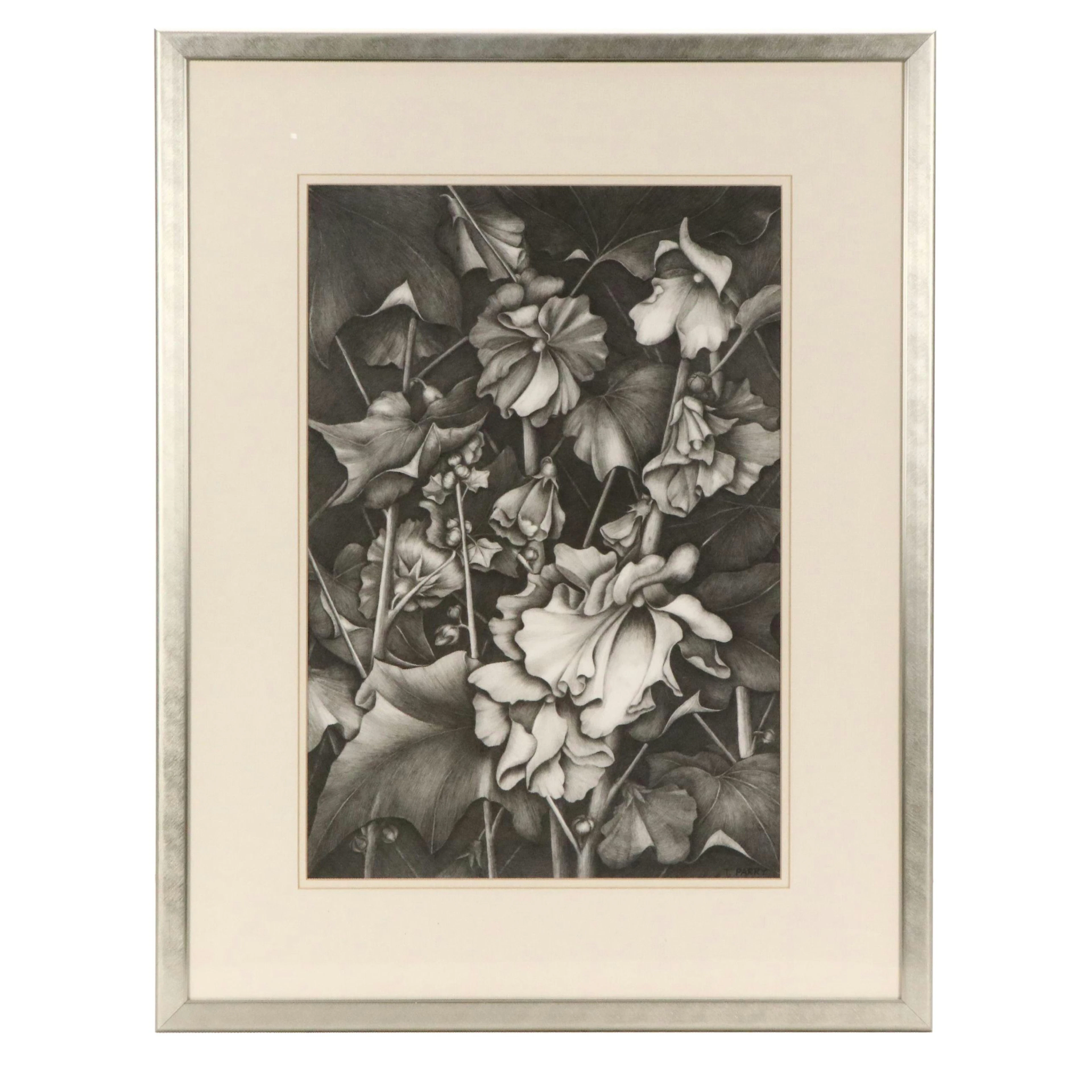 Tomoko Parry Botanical Drawing "Hollyhock No. 2"
