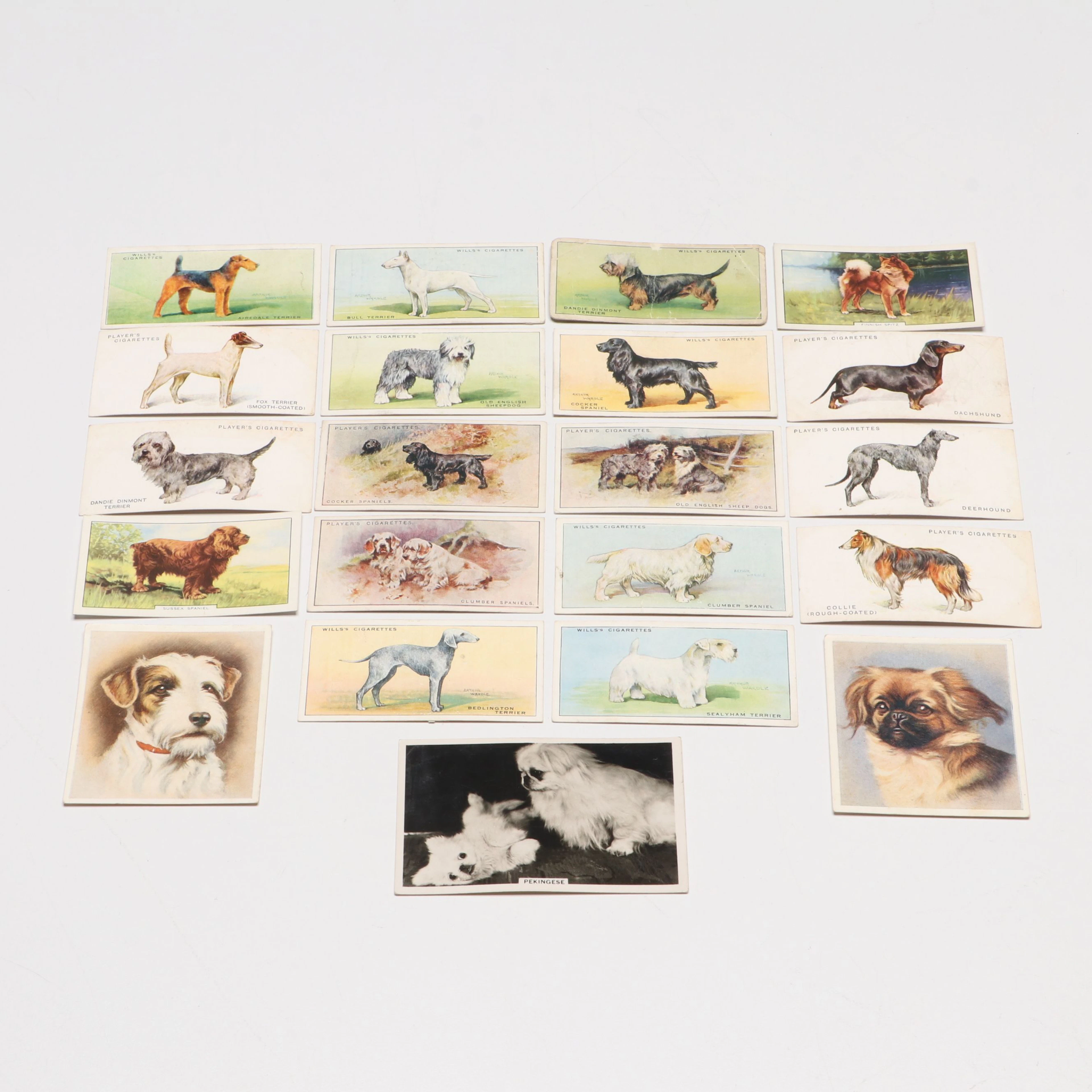 John Player & Sons, Godfrey Phillips with Other Dog Tobacco Cards