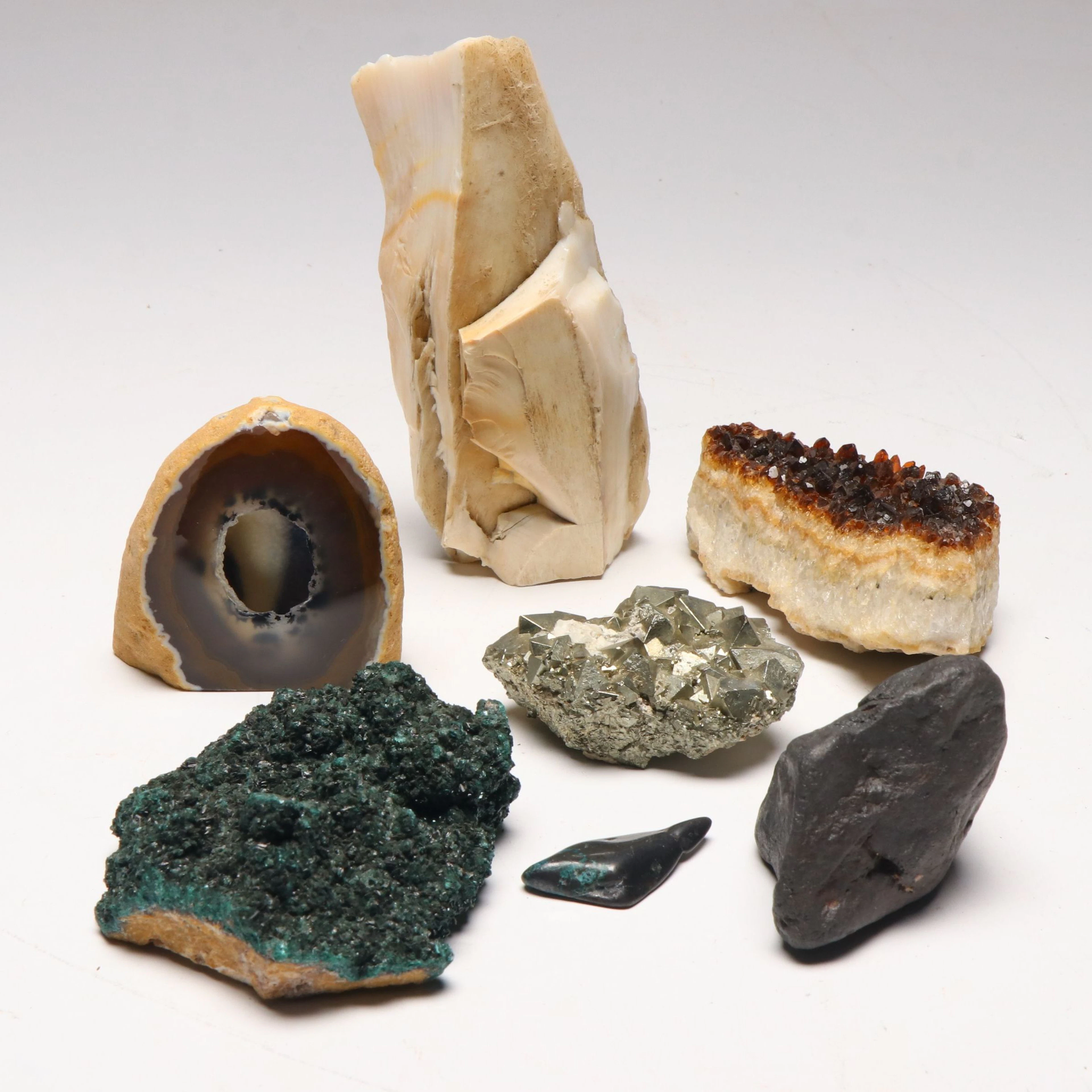Citrine Cluster, Agate Geode, Petrified Wood, and More Specimens