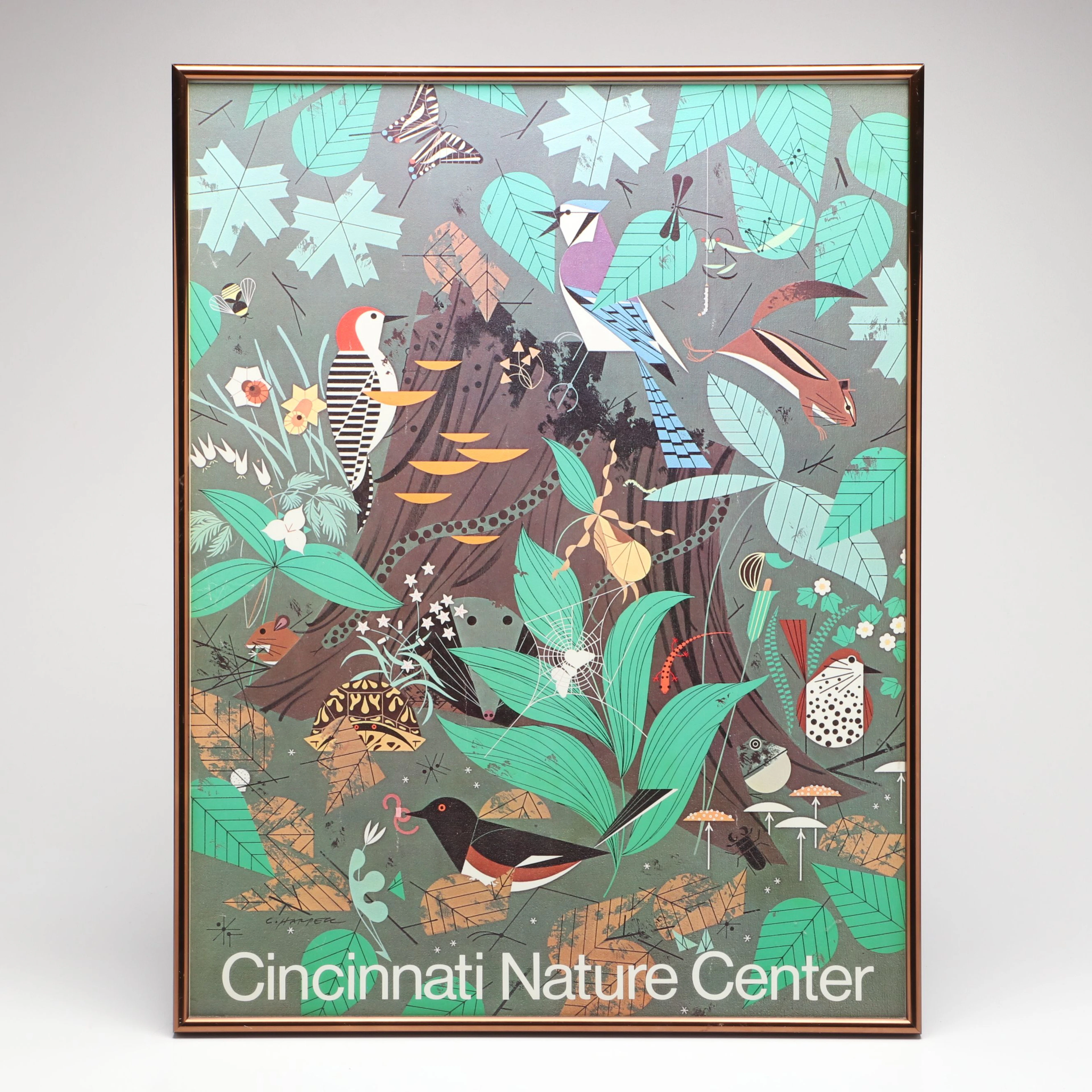 Cincinnati Nature Center Poster