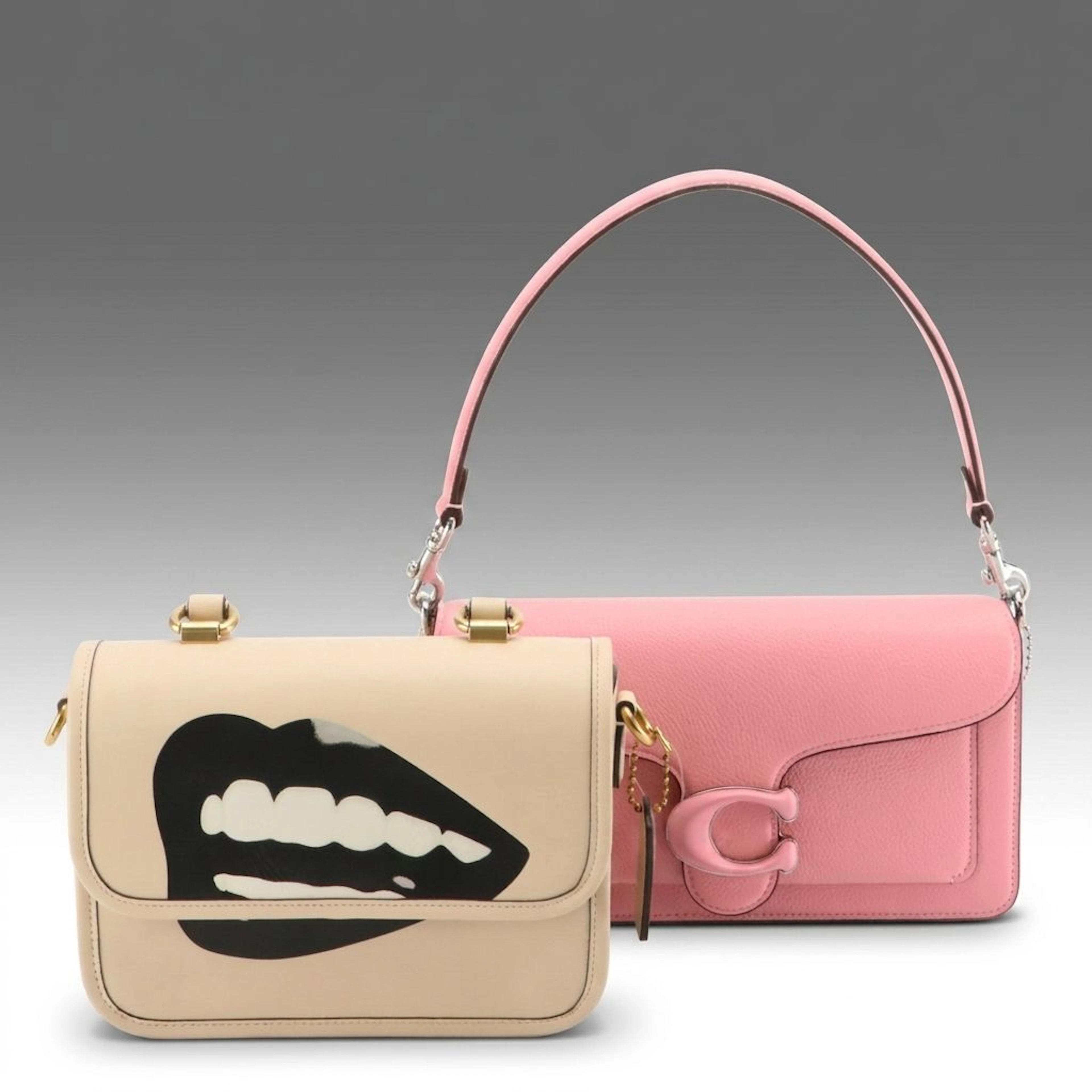 Coach Tabby Flower Pink & Coach x Tom Wesselmann Rogue Two-Way Bags