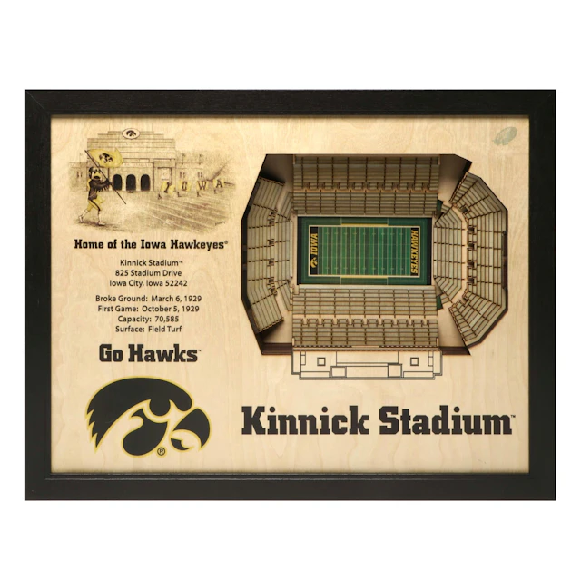 Stadium Views University of Iowa Hawkeyes Wall Hanging