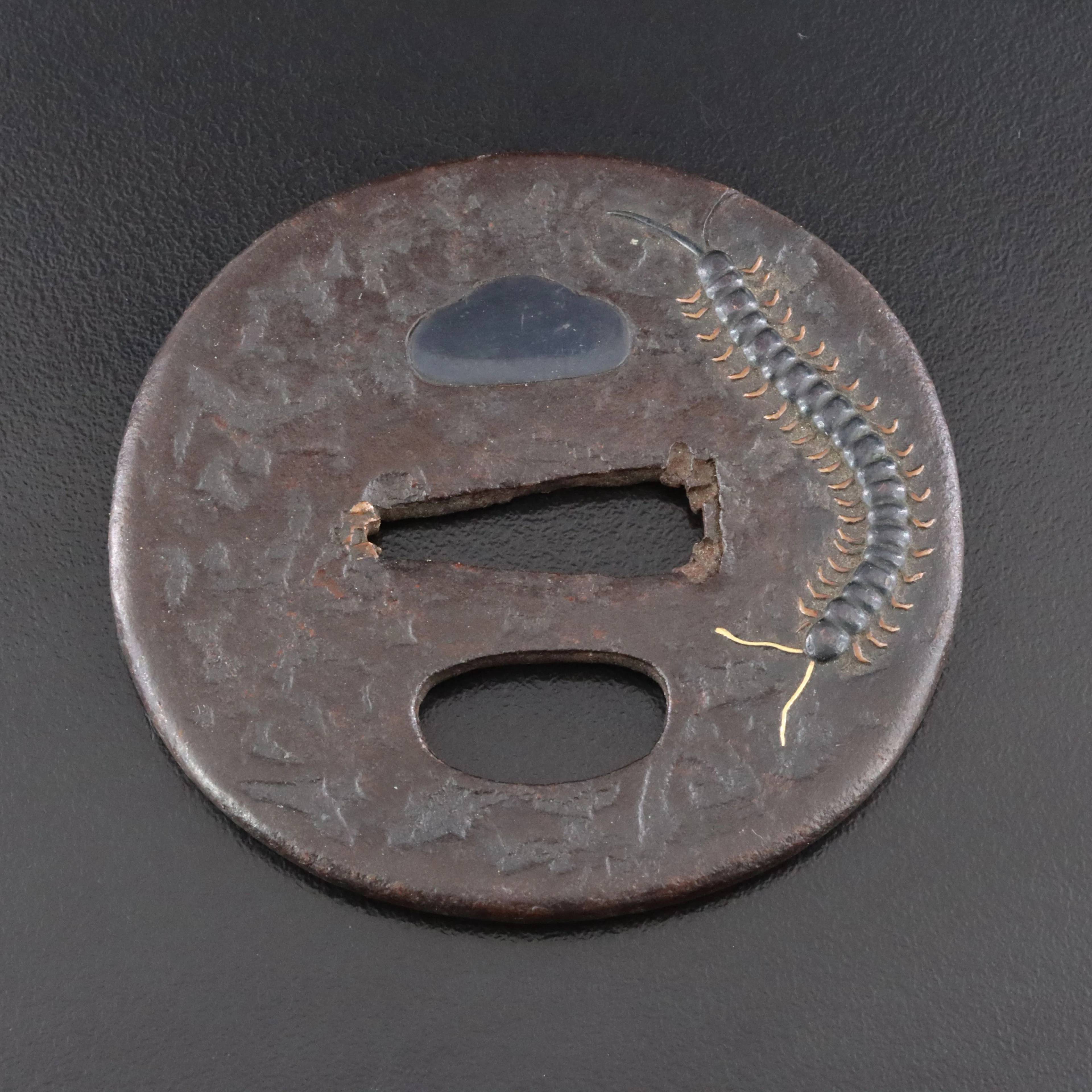 Edo Period Japanese Cast Bronze Centipede Tsuba Sword Guard