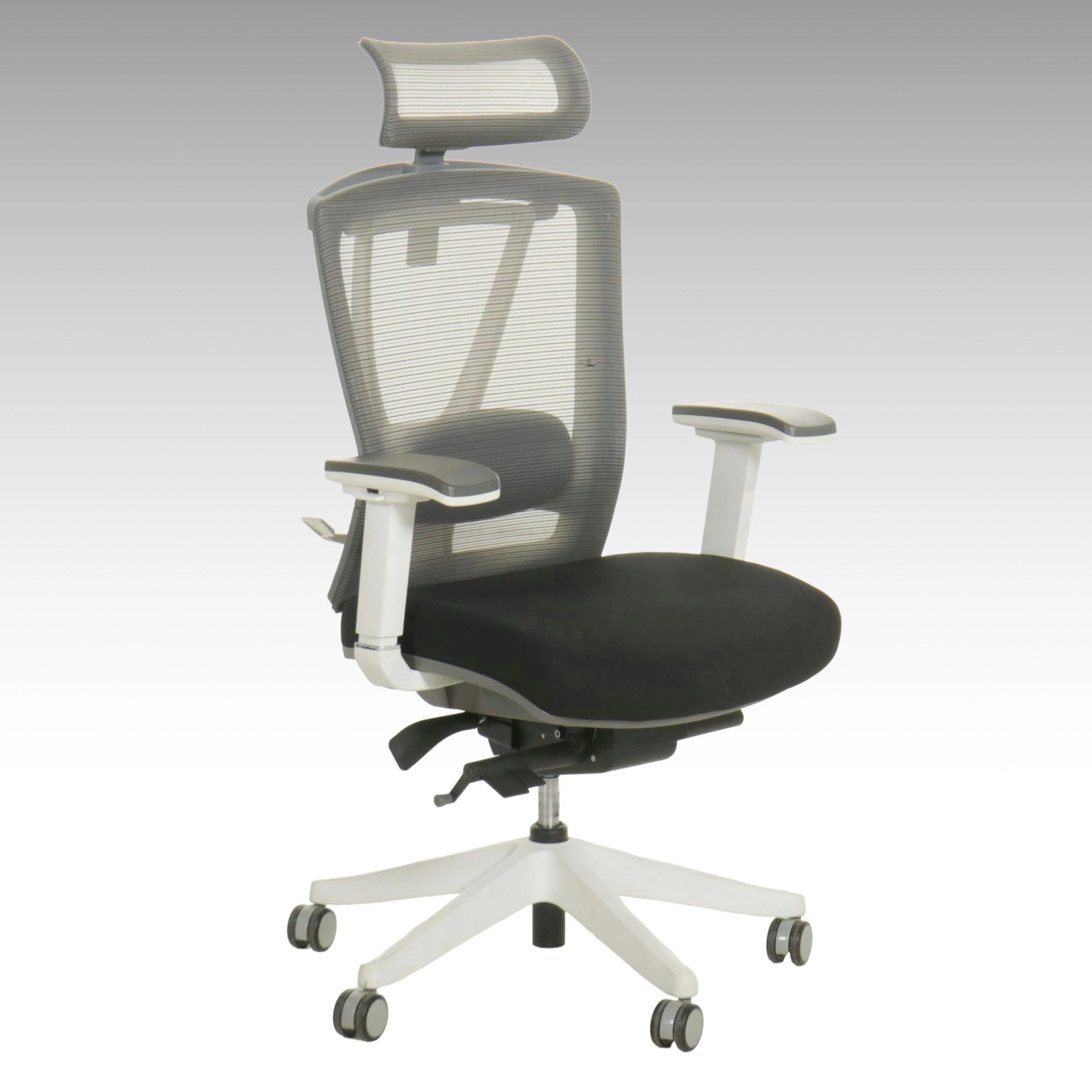 Autonomous ErgoChair Pro, 21st Century
