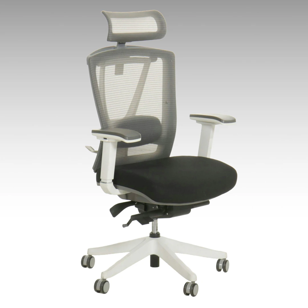Autonomous ErgoChair Pro, 21st Century