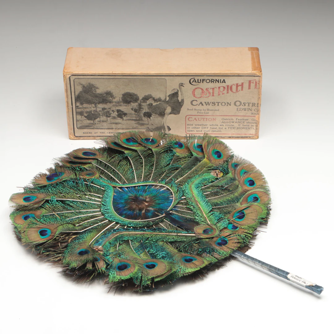 Cawston Ostrich Feather Fan and Box, Late 19th/Early 21st C.