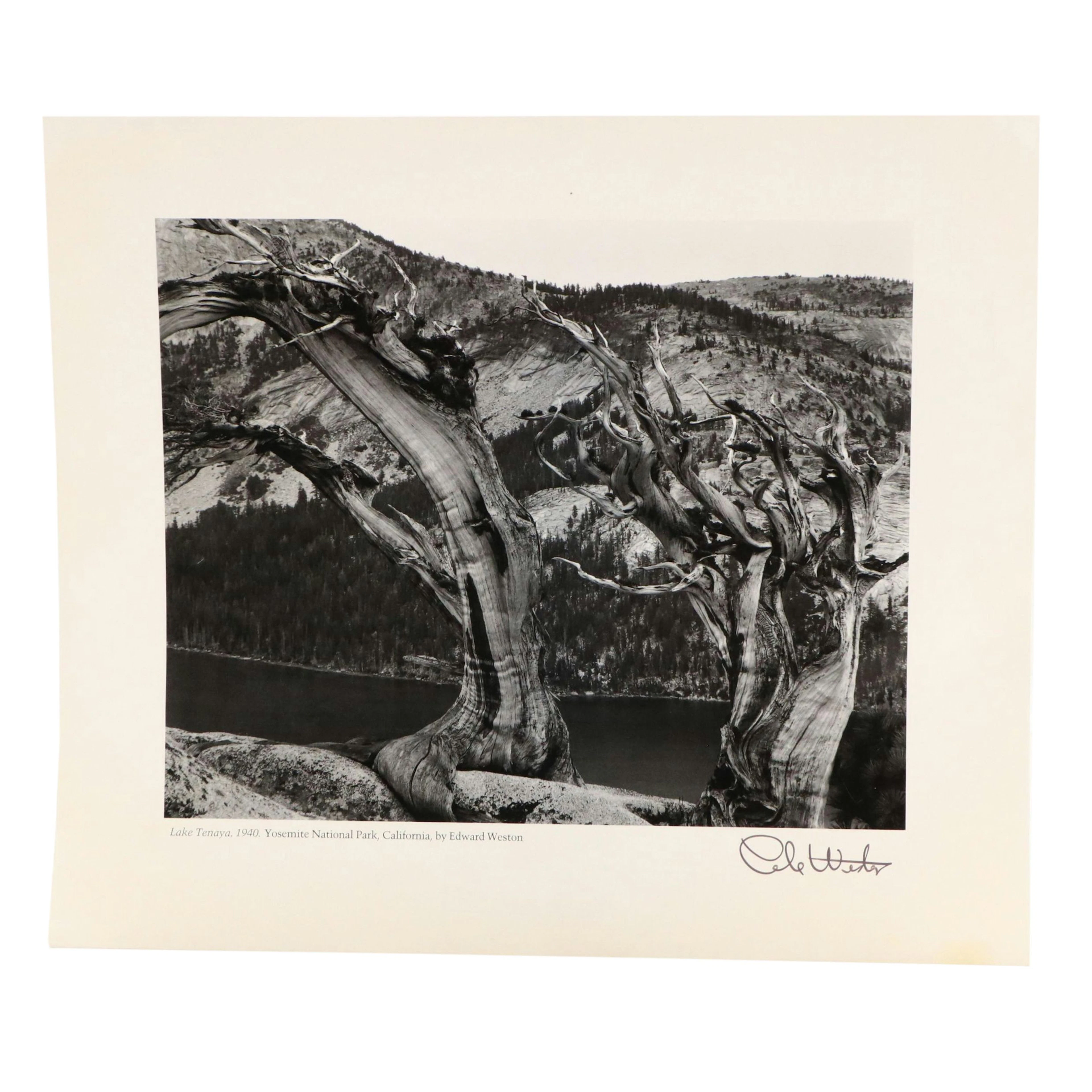 Reproduction Print After Edward Weston "Lake Tenaya, 1940"