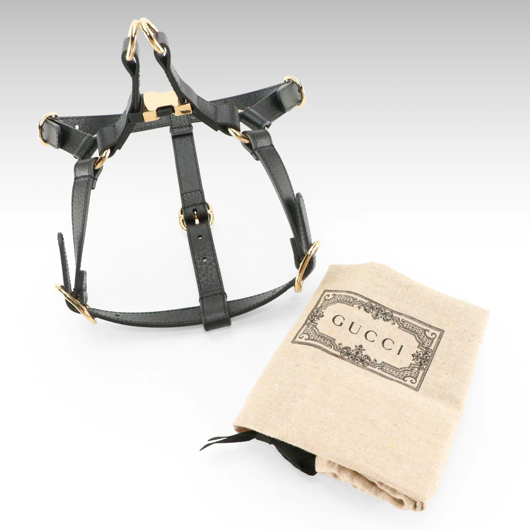 Gucci Medium Demetra Pet Harness in Black Vegan Leather