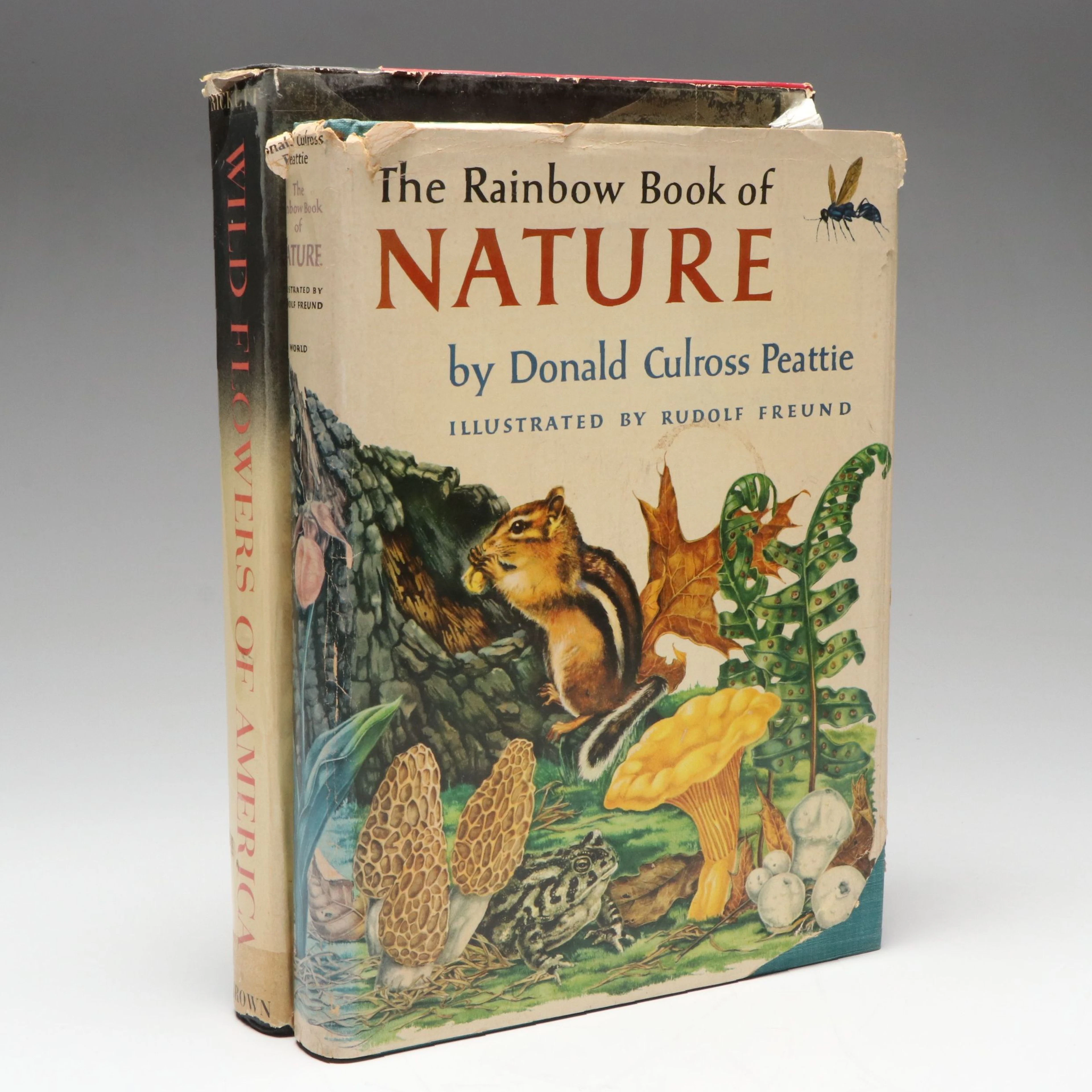 First Edition "The Rainbow Book of Nature" by Donald Culross Peattie and More