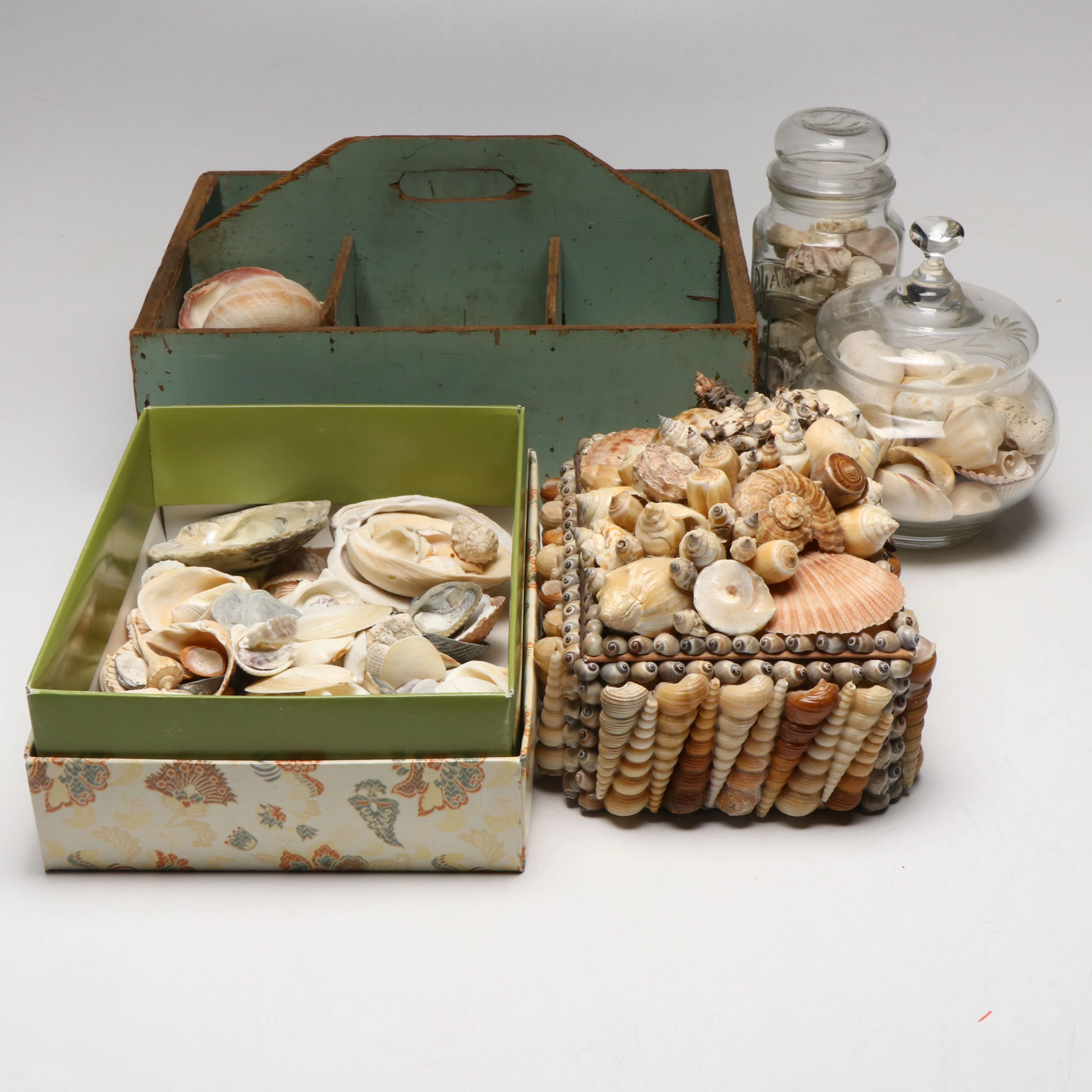 Abalone, Shark Eye, Murex and Other Shells with Shell-Encrusted Keepsake Box
