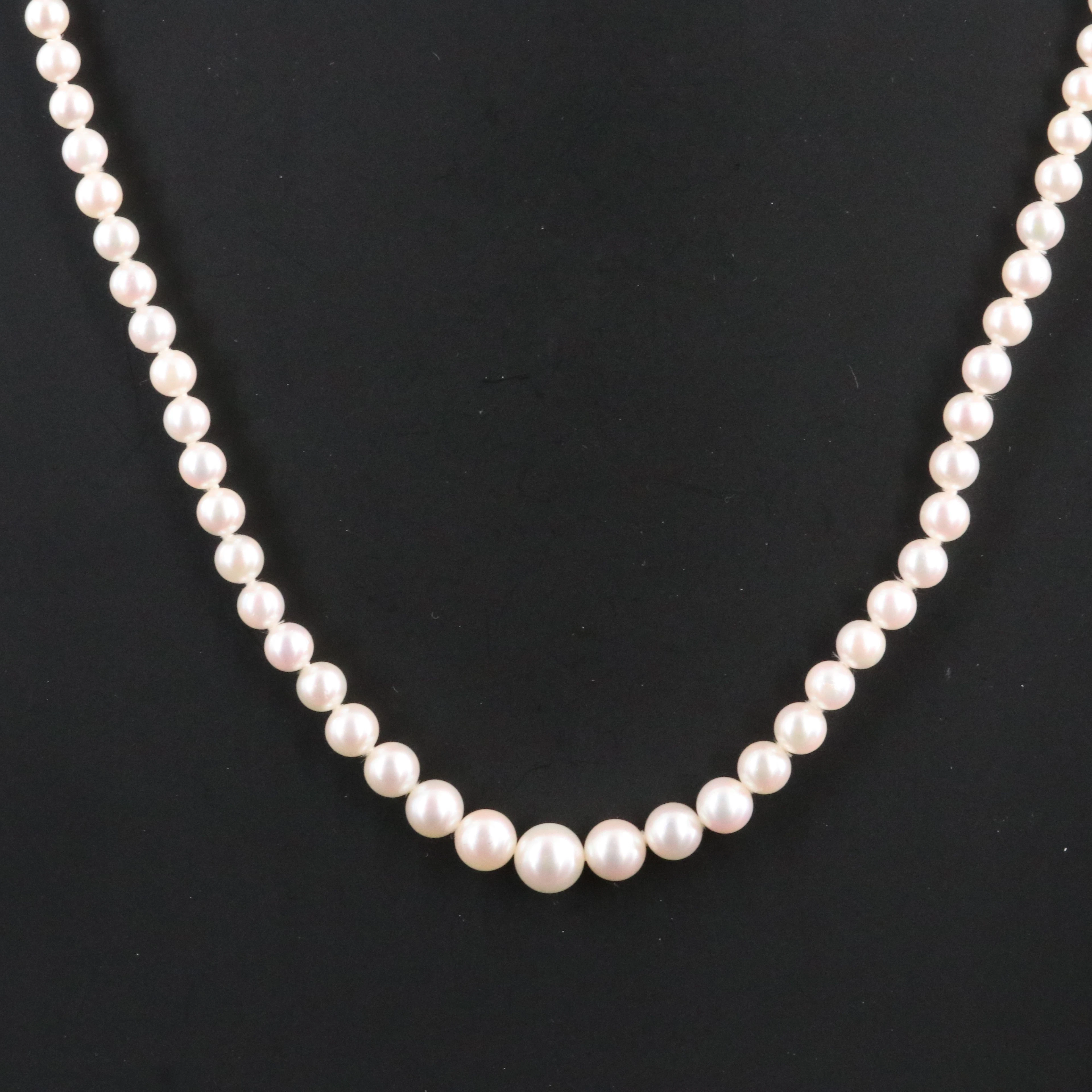 Mikimoto Graduated Pearl Choker Length Necklace with 18K Clasp