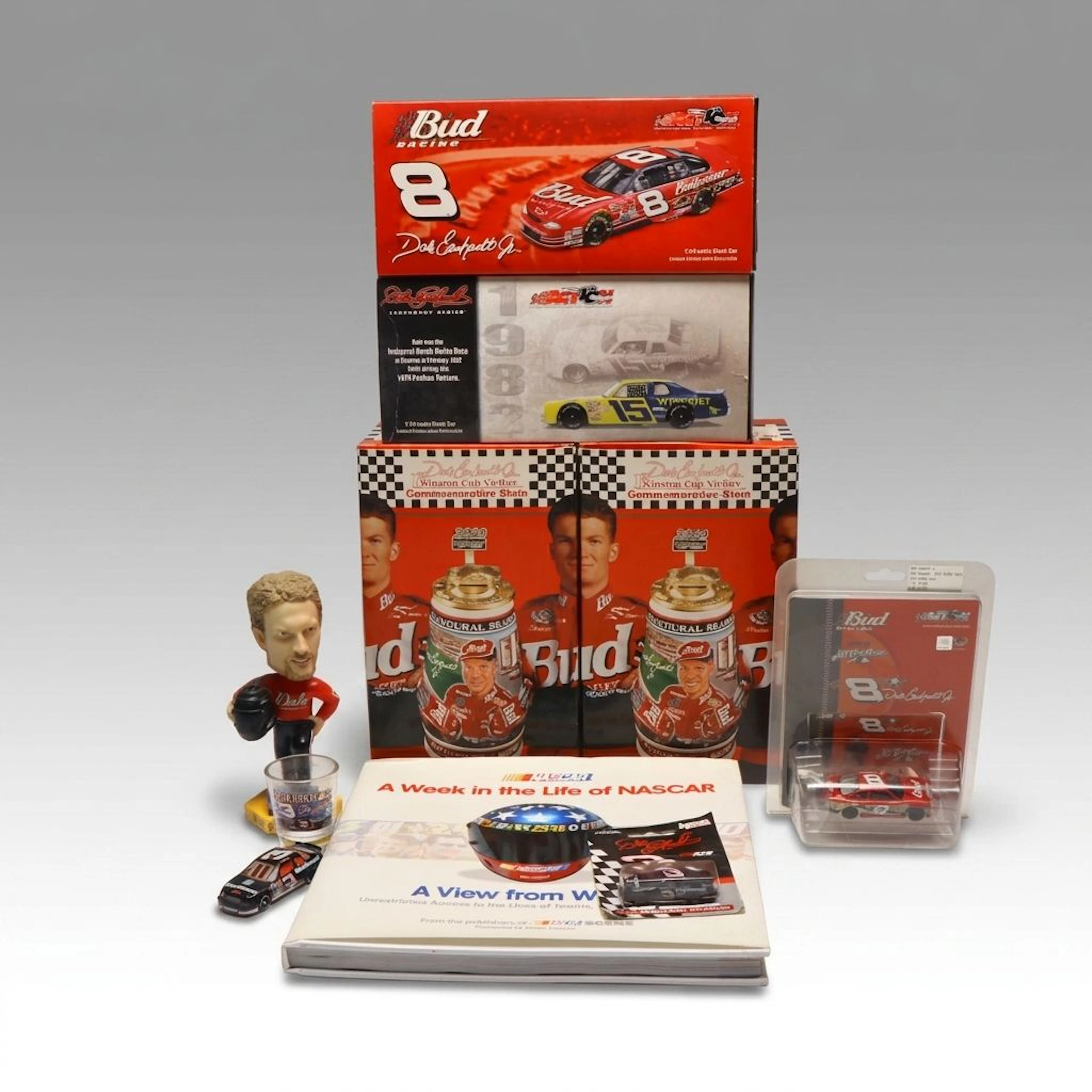 NASCAR Dale Earnhardt Jr Memorabilia with "NASCAR: A View From Within"