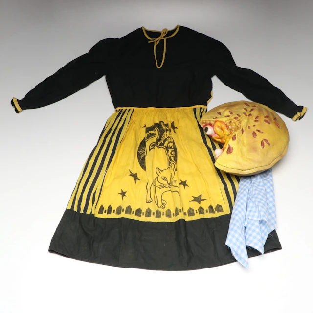 Halloween Eyeball Pie Prop and Costume Dress