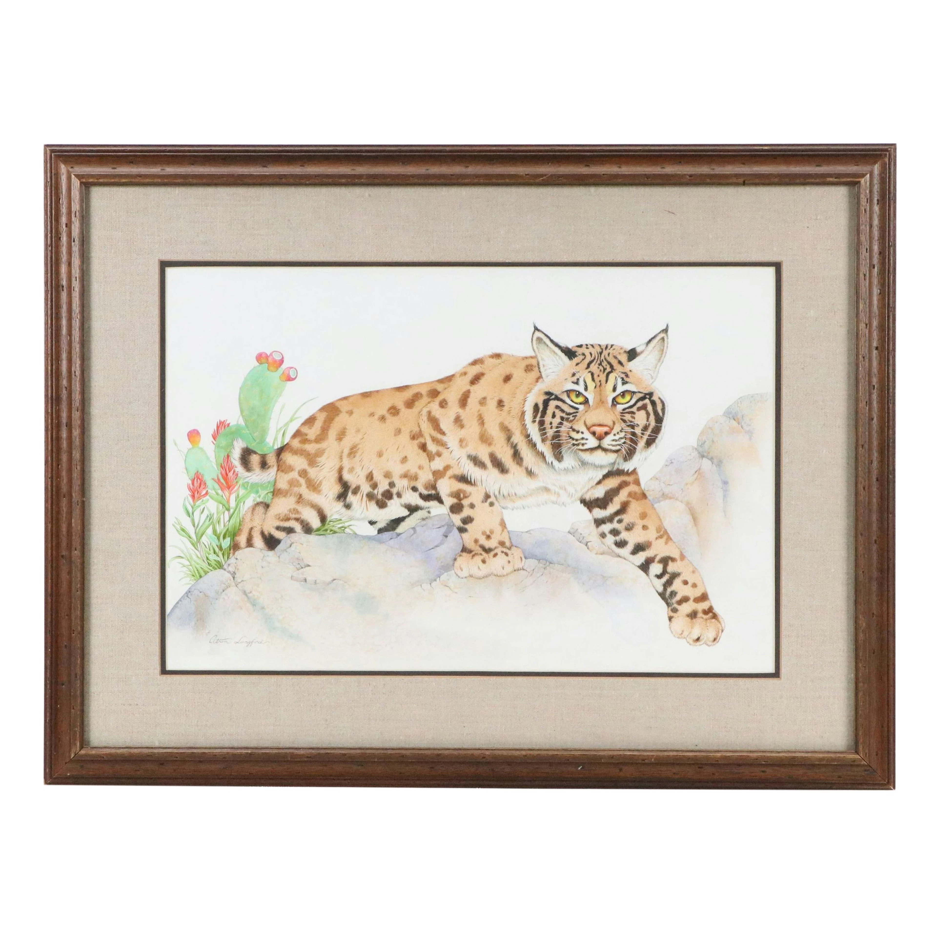 Alton Langford Watercolor Painting of Bobcat