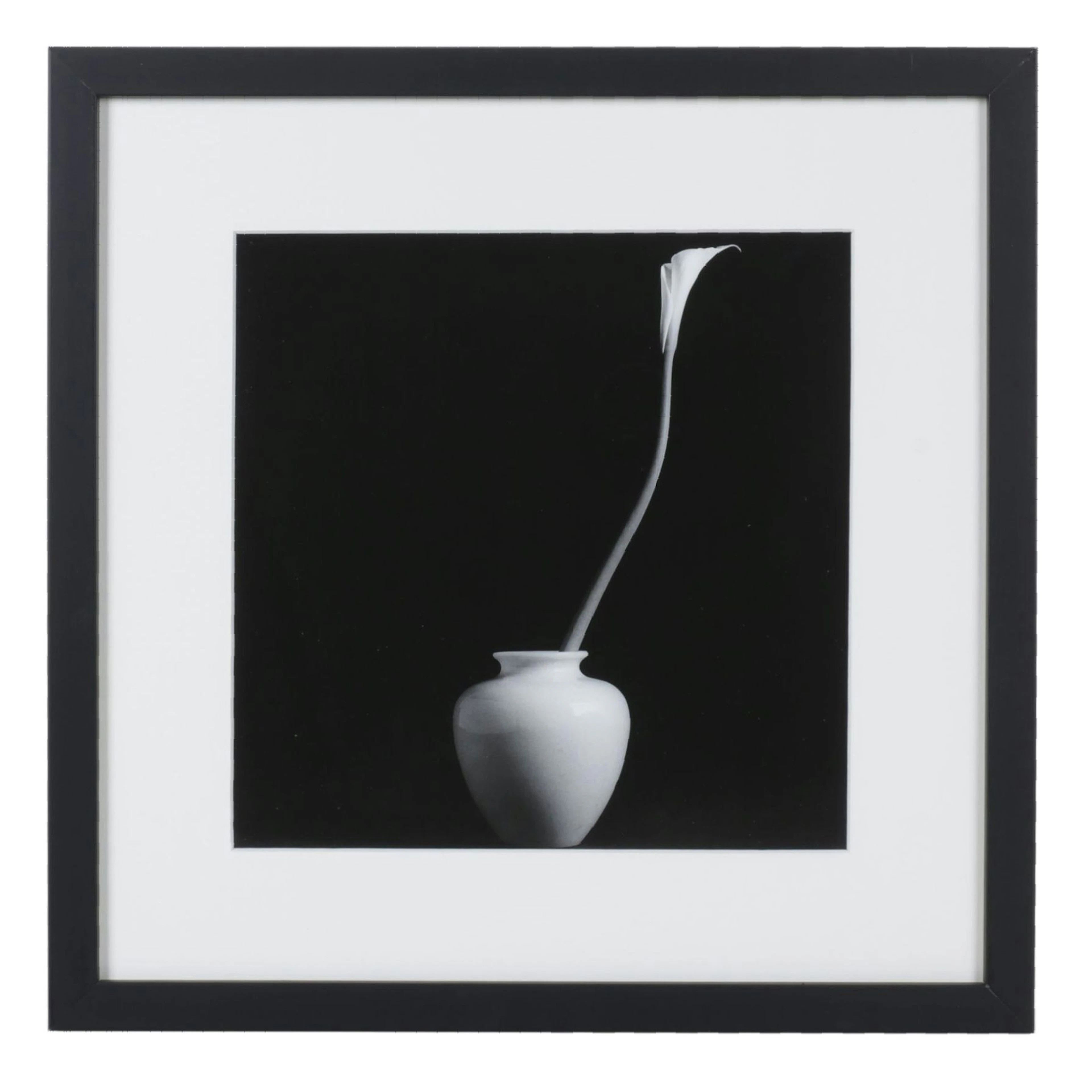Offset Lithograph After Robert Mapplethorpe "Calla Lily" From "Flora" 2016