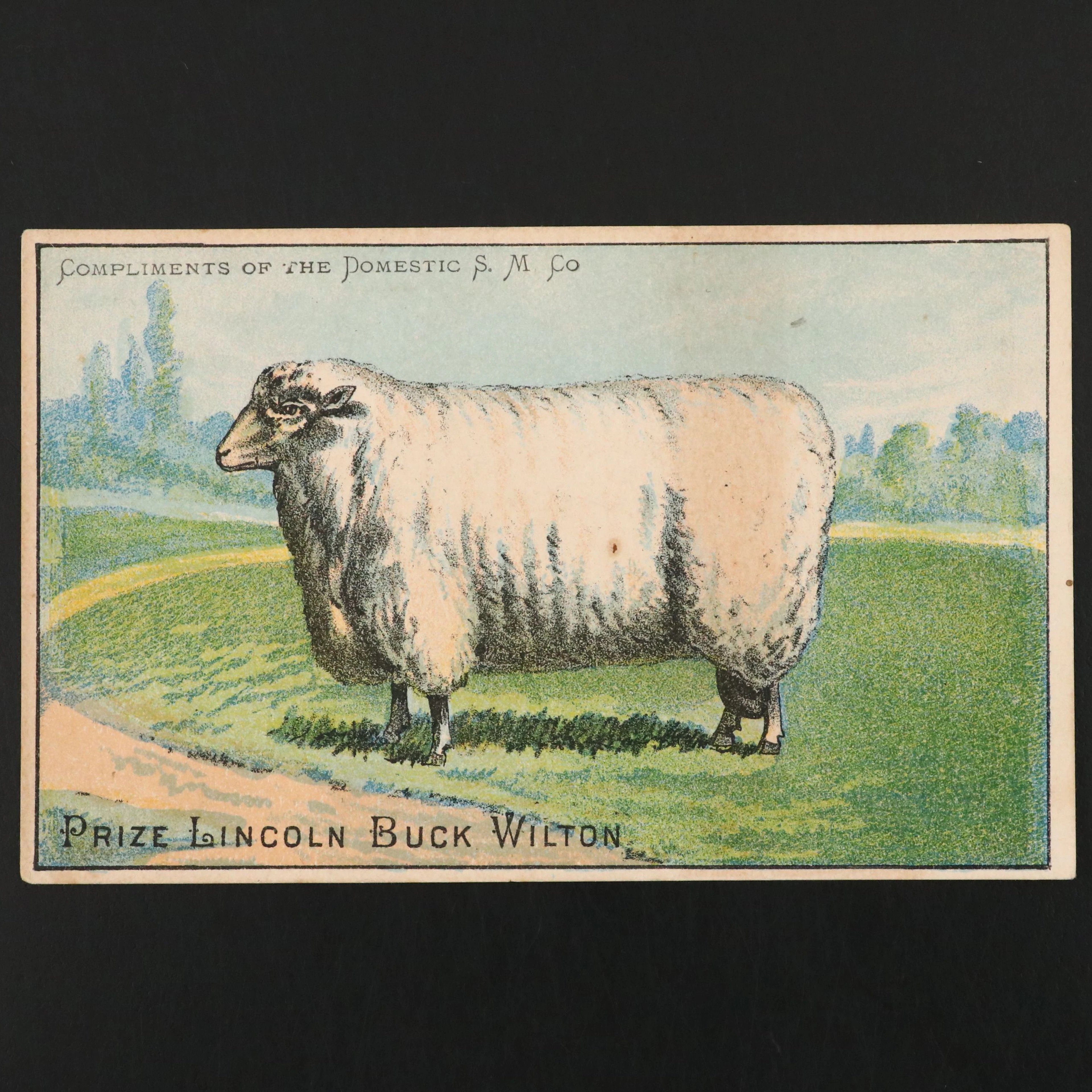 Domestic Sewing Machine "Prize Lincoln Buck Wilton" Advertisement Card, 19th C.