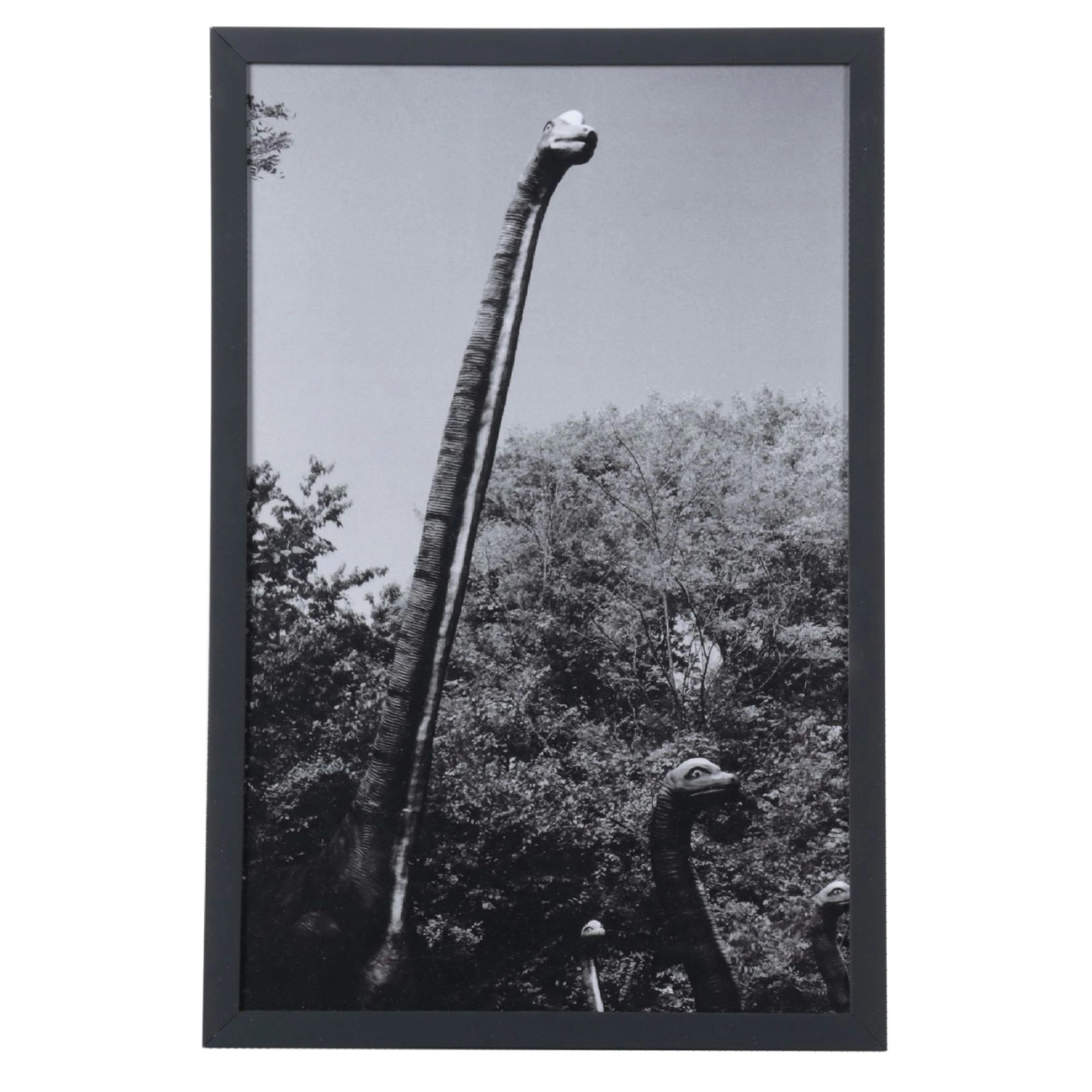Steven Bell Film Photograph "Dinosaur World"