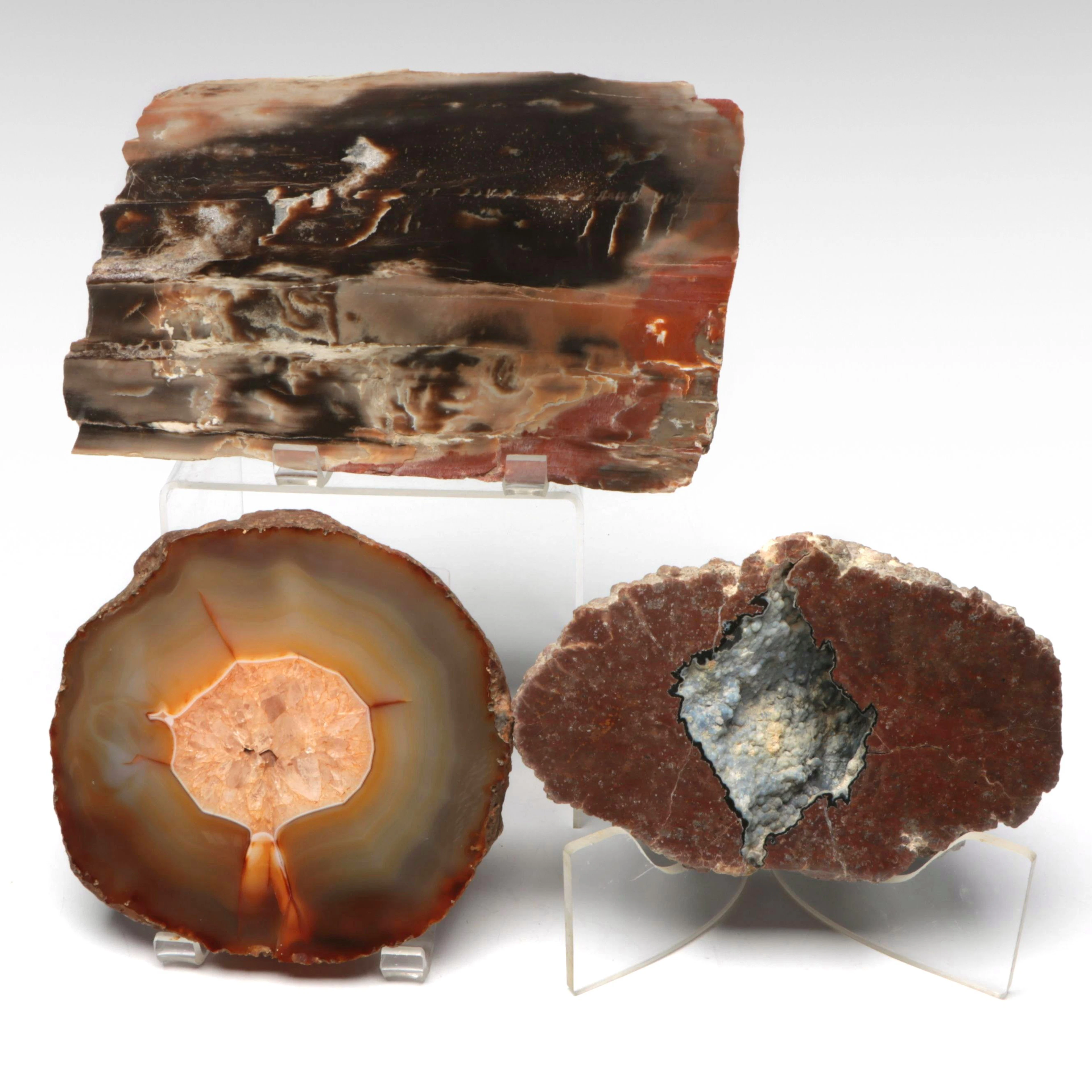 Brazilian Agate Slice with Chalcedony Geode and Petrified Wood Slab