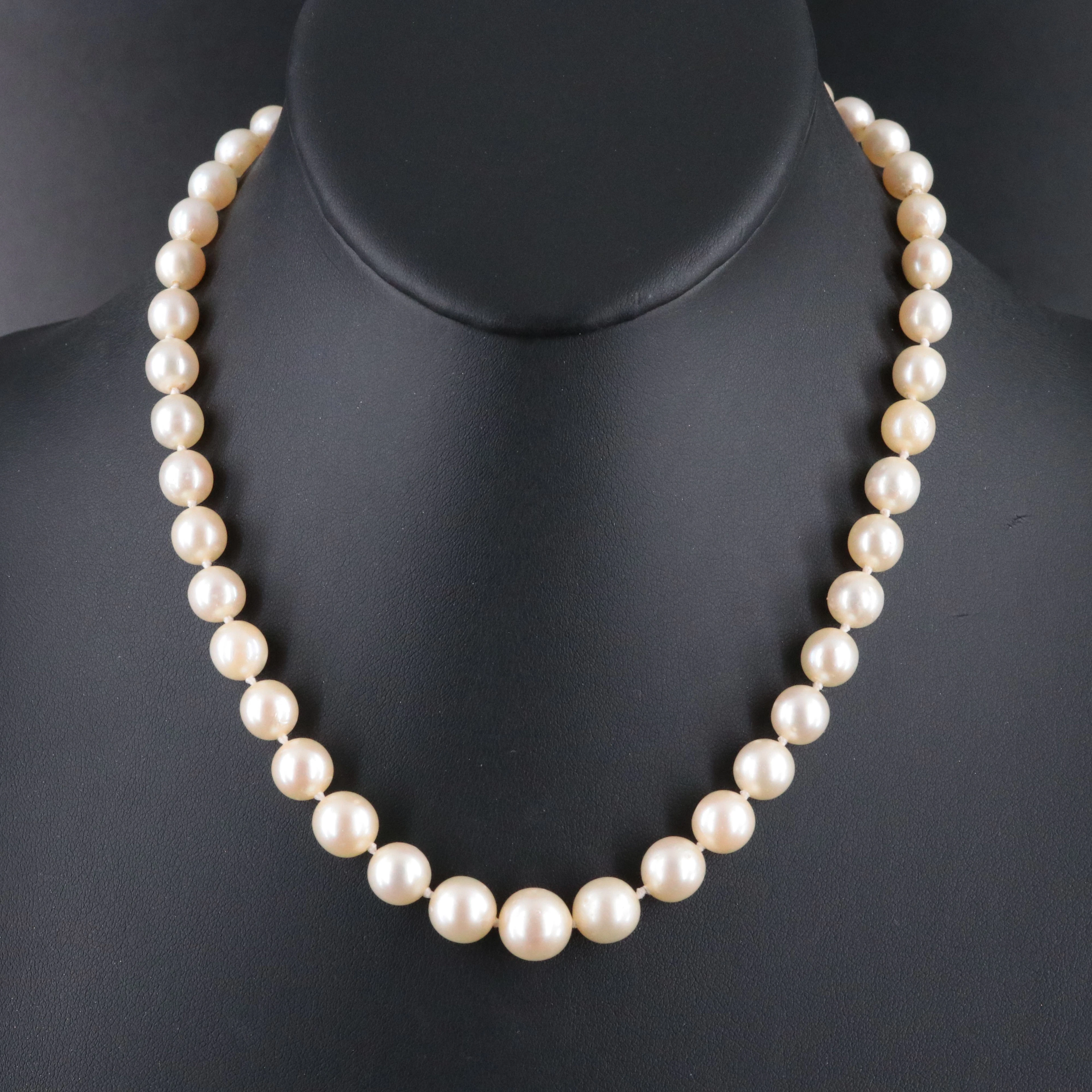 Pearl Choker Length Graduated Necklace with 10K Clasp
