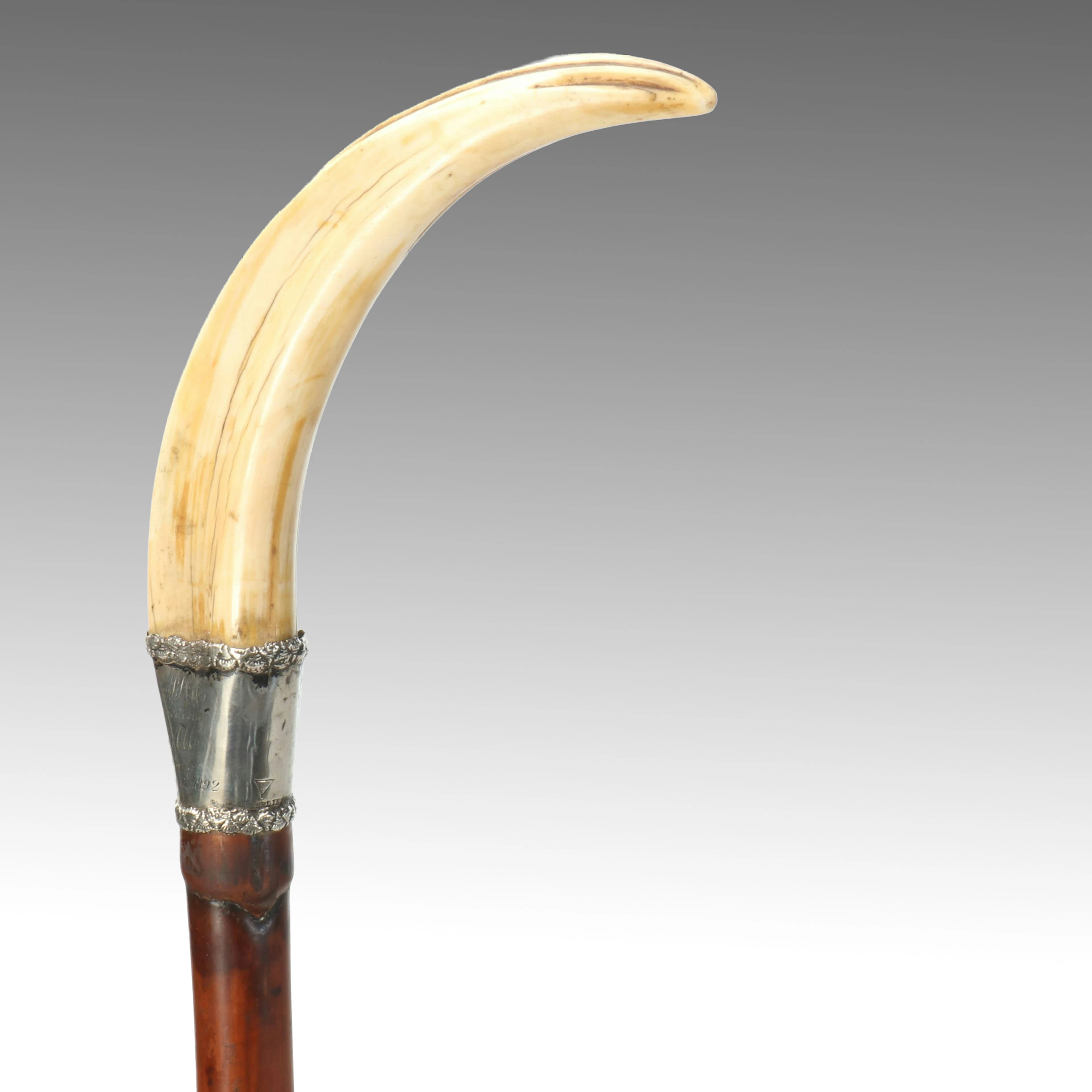 William Demuth Company Victorian Sterling and Tusk Walking Stick, 1892