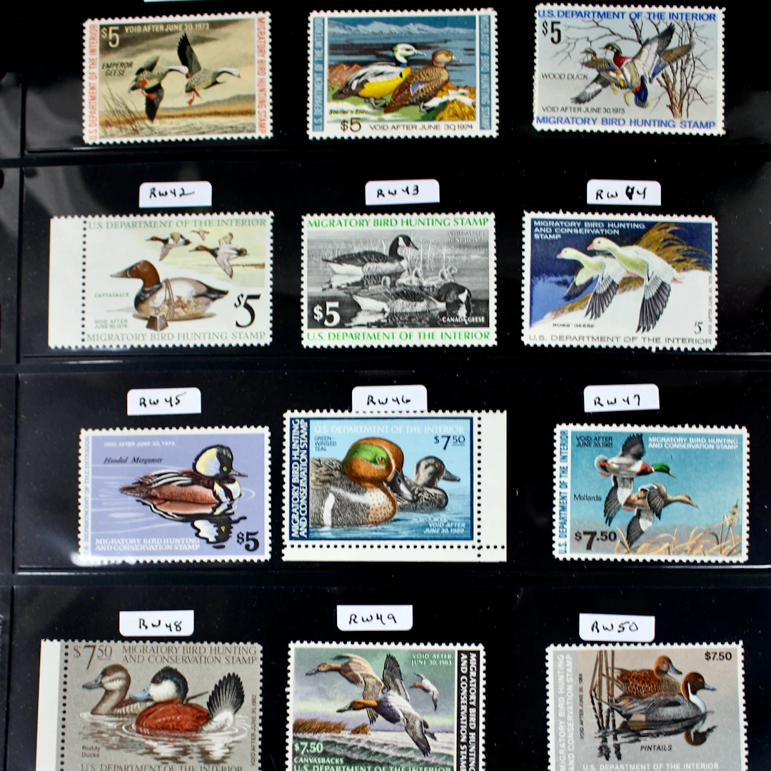 Twenty-One Different MNH U.S. Duck Stamps, Scott RW39 to RW59, Complete