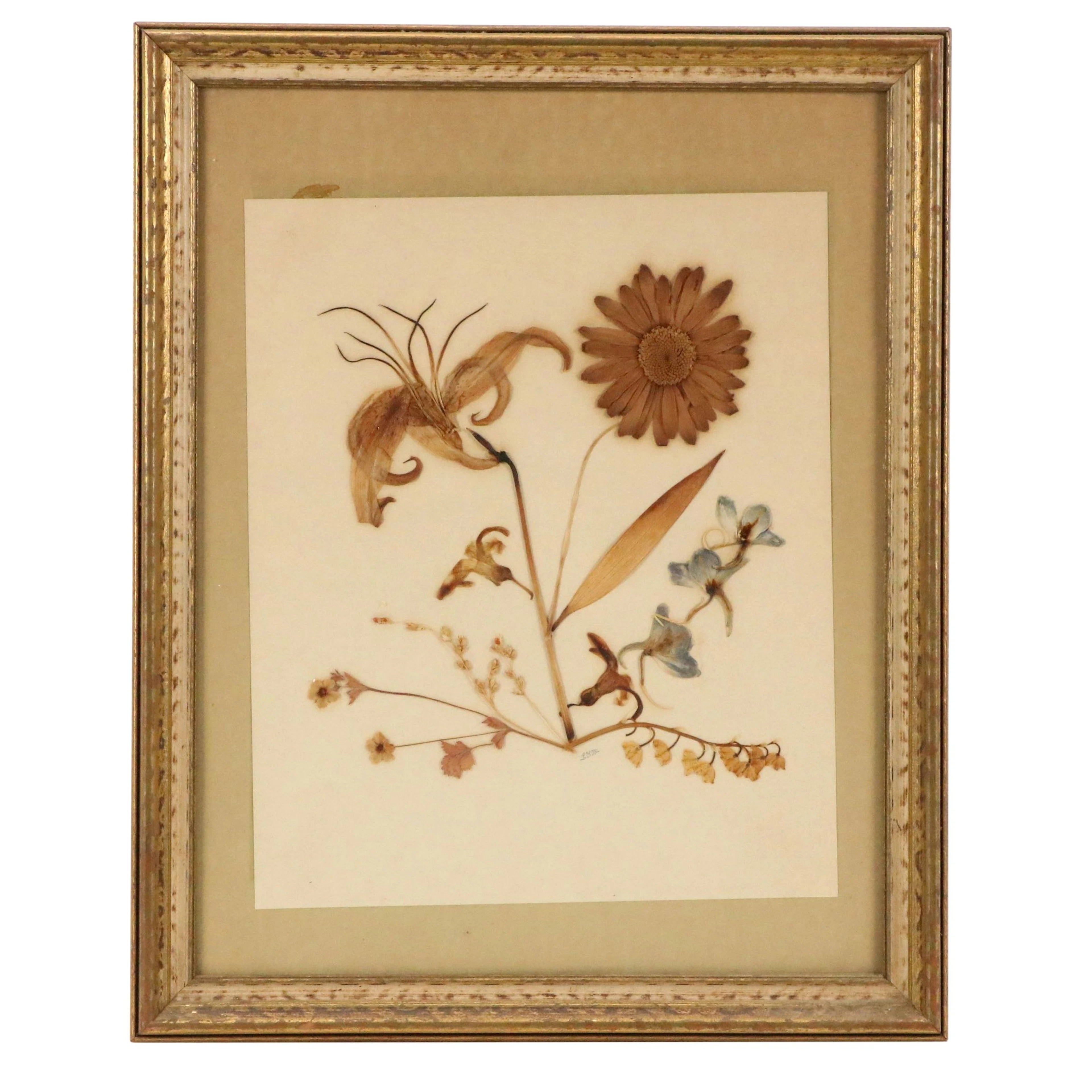 Pressed Botanical Arrangement with Various Flowers, Circa Early 20th Century