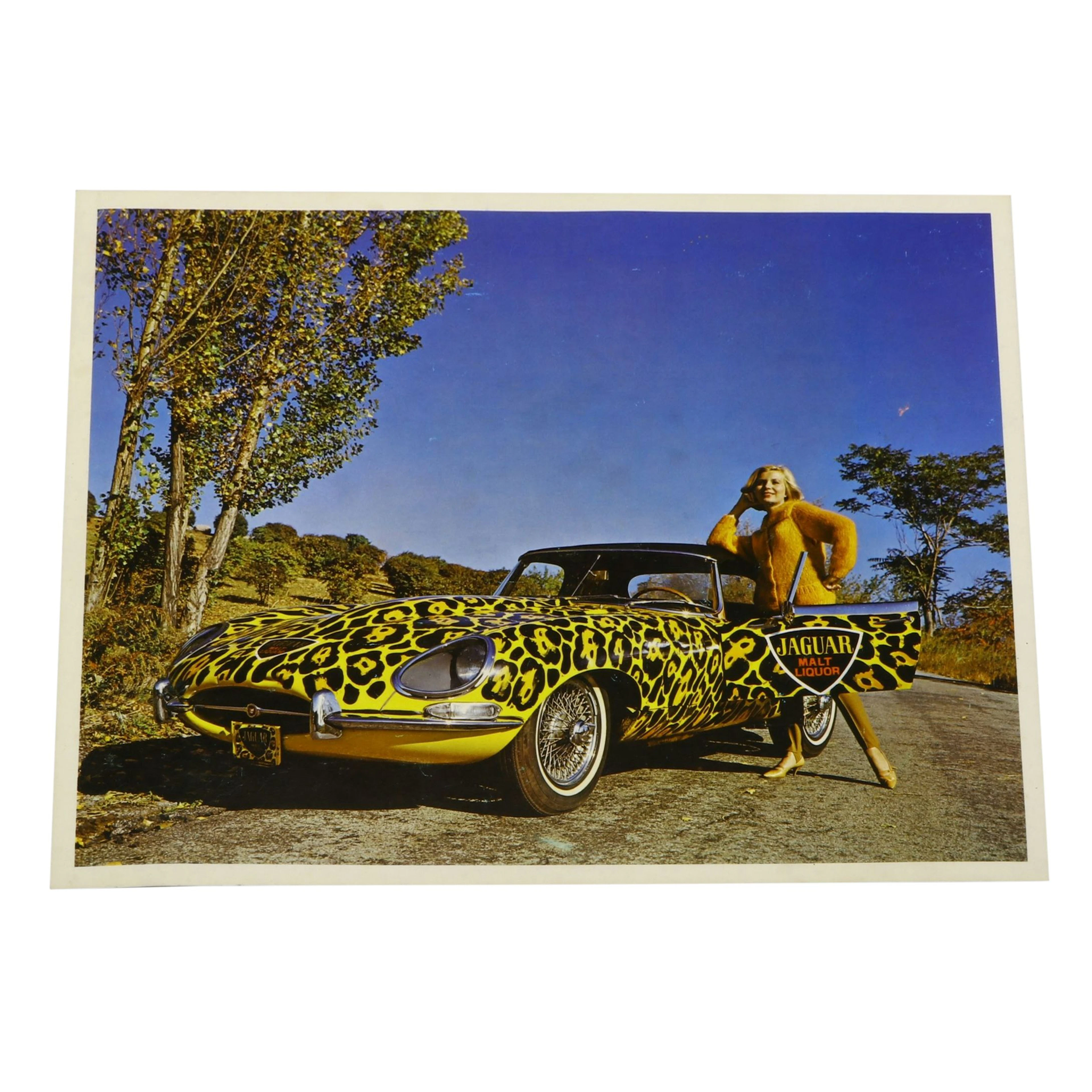 Jaguar Malt Liquor Promotional Color Photograph, 1980s