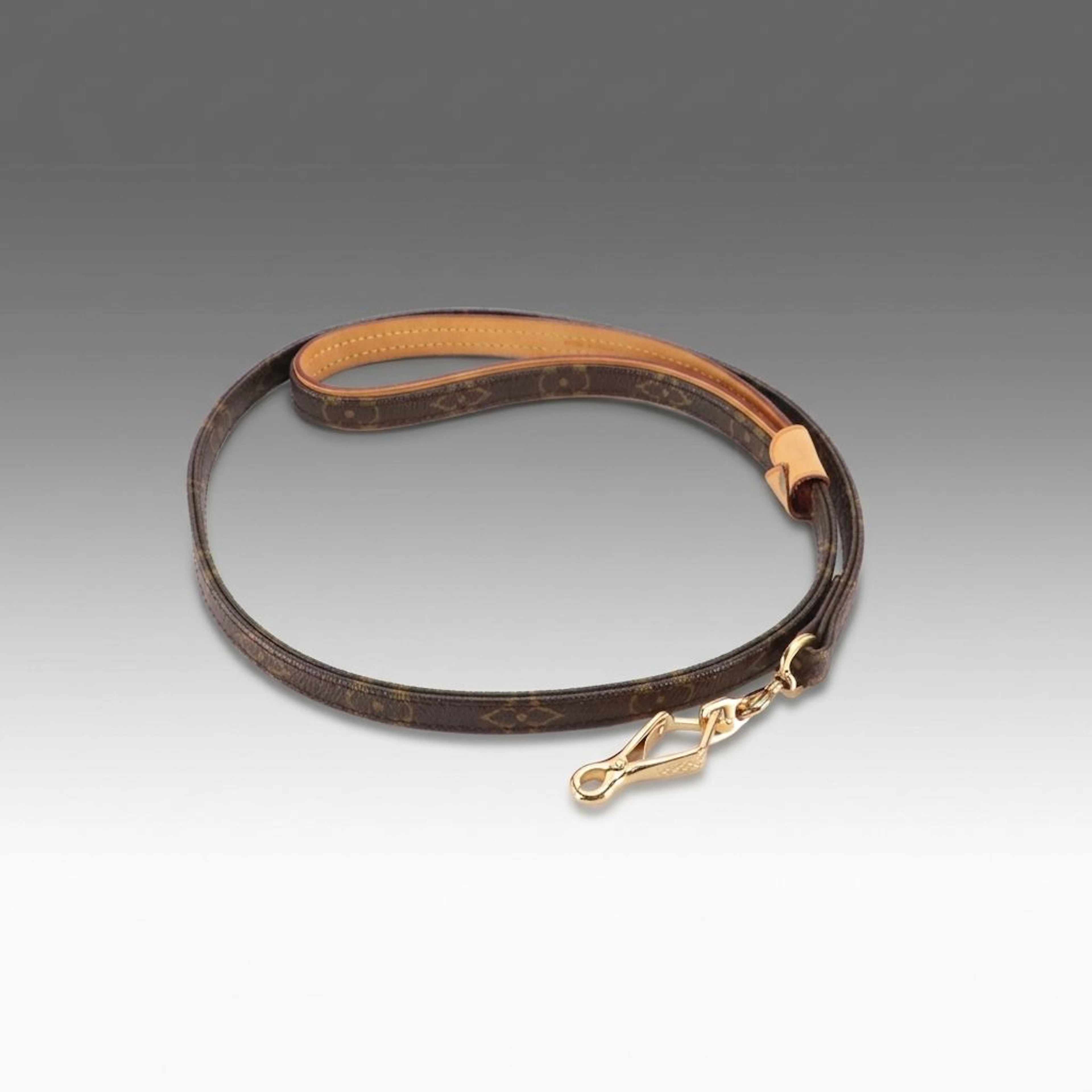Louis Vuitton Baxter Dog Leash MM in Monogram Canvas and Vachetta Leather