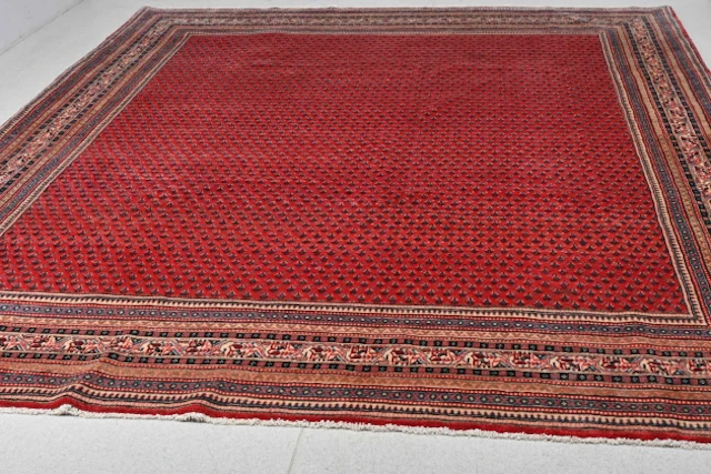 Orientmatta, Sarough mir