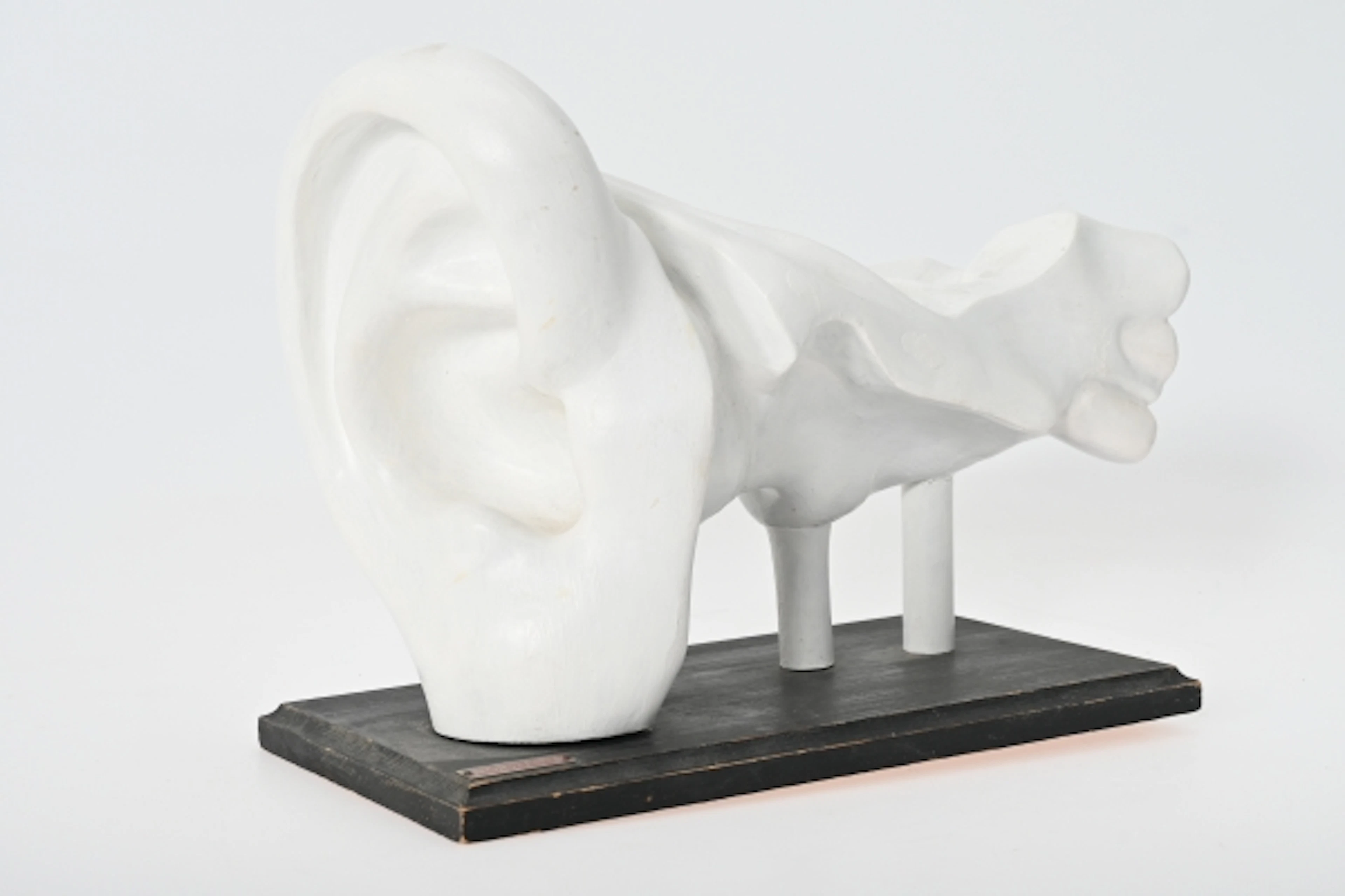 Skulptur Anatomi Öra, Norstedts